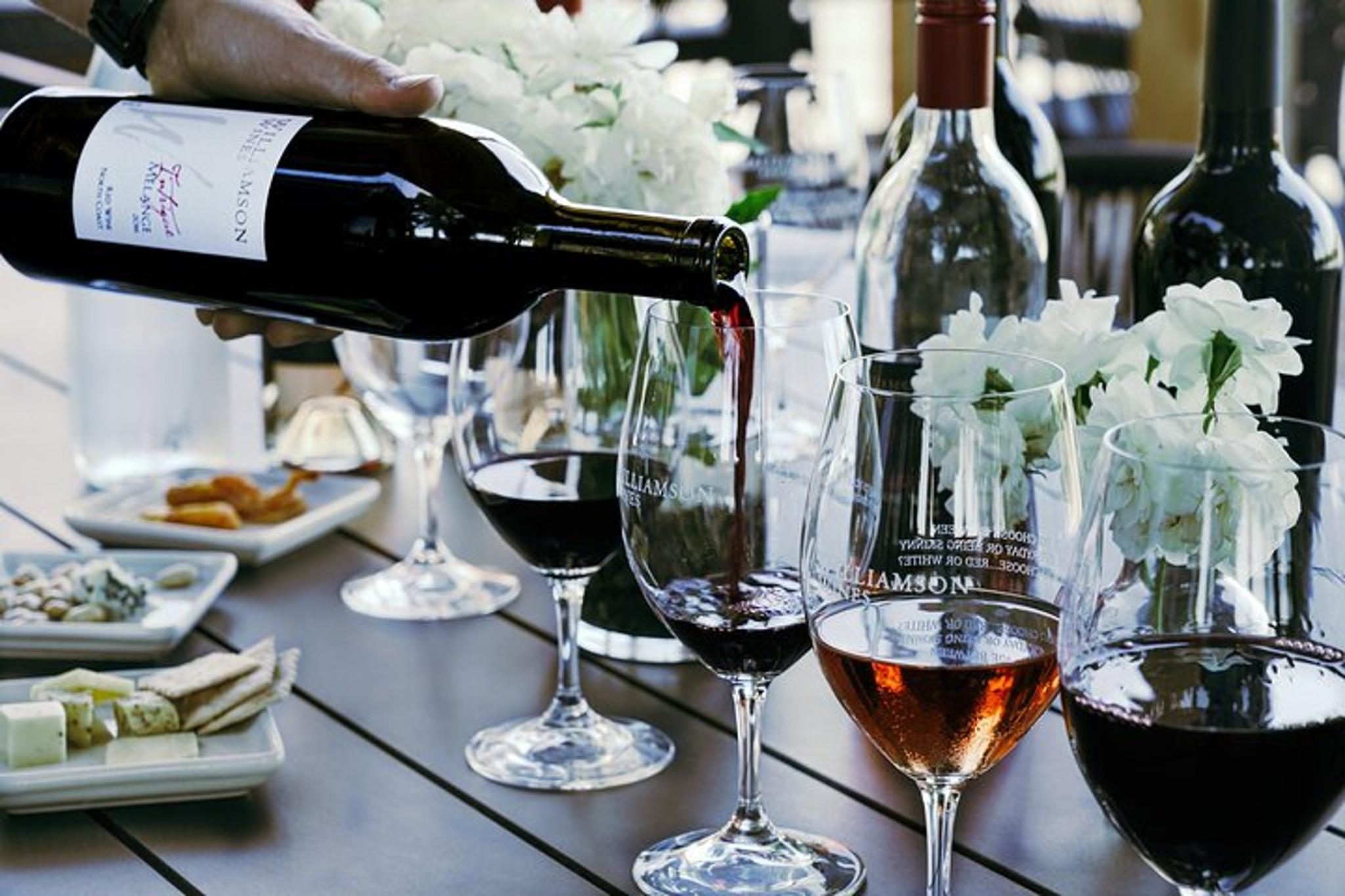 Healdsburg Wine & Food Pairing Experience - Image 2