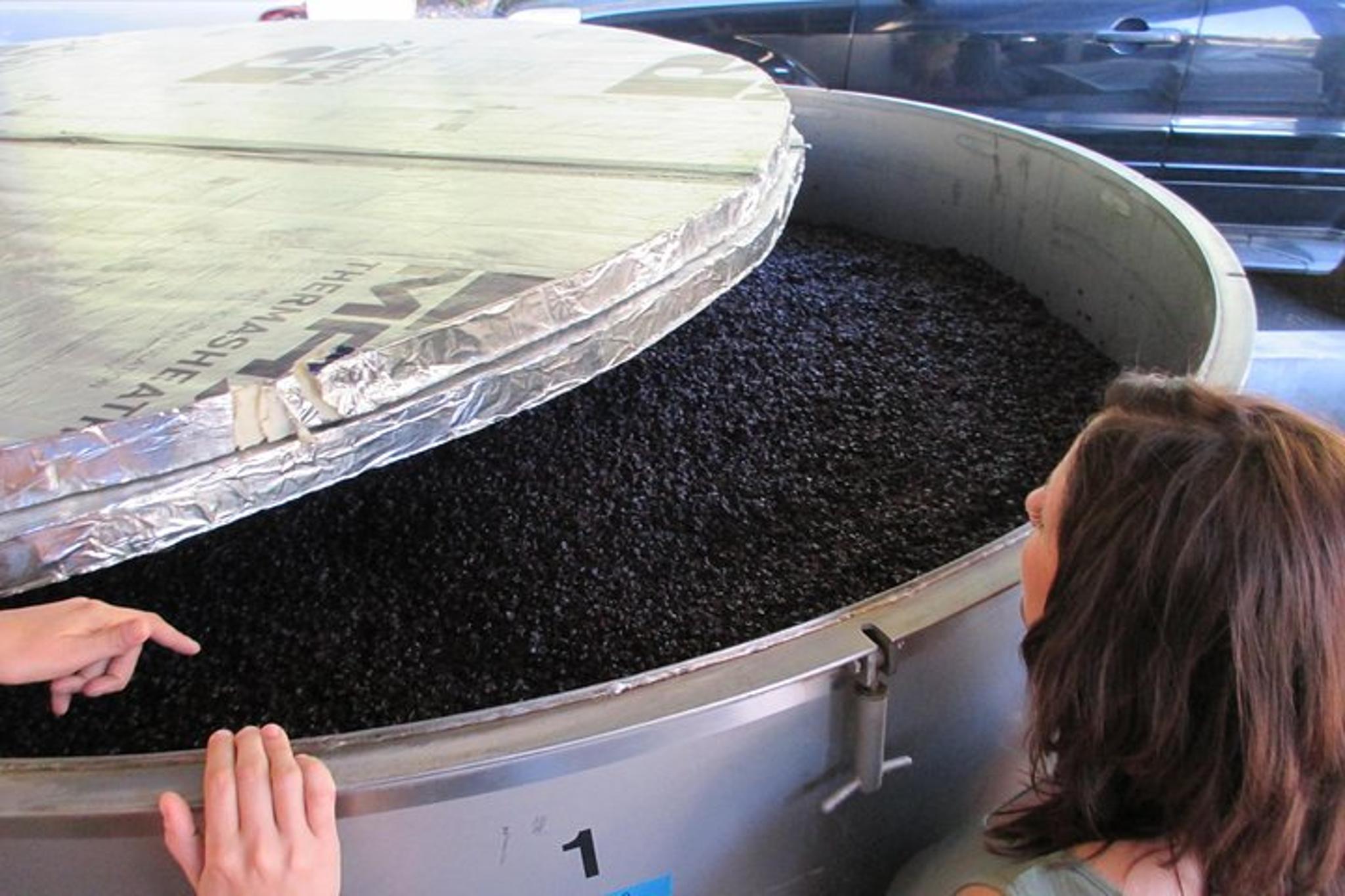 Napa & Sonoma Private Wine Tour 6 hr - Image 6