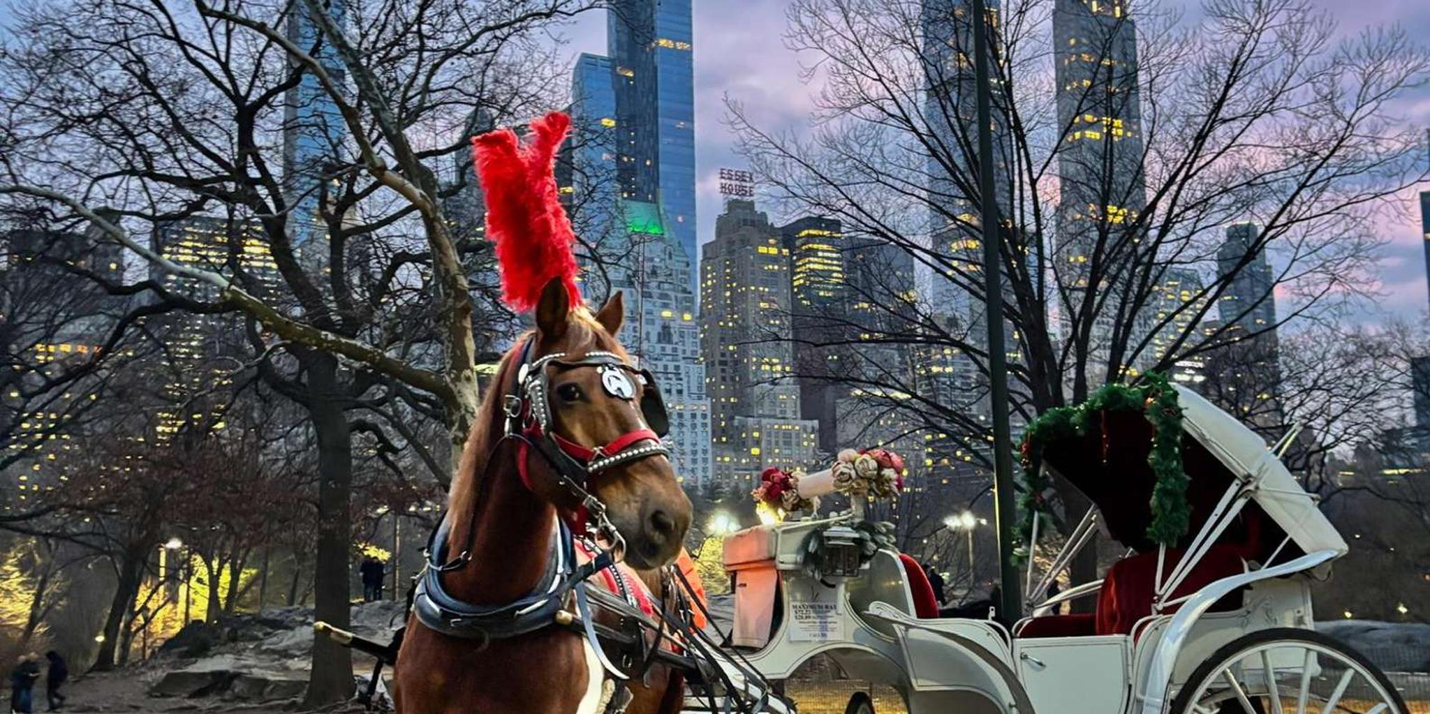 New York Central Park Horse Carriage Ride - Image 2