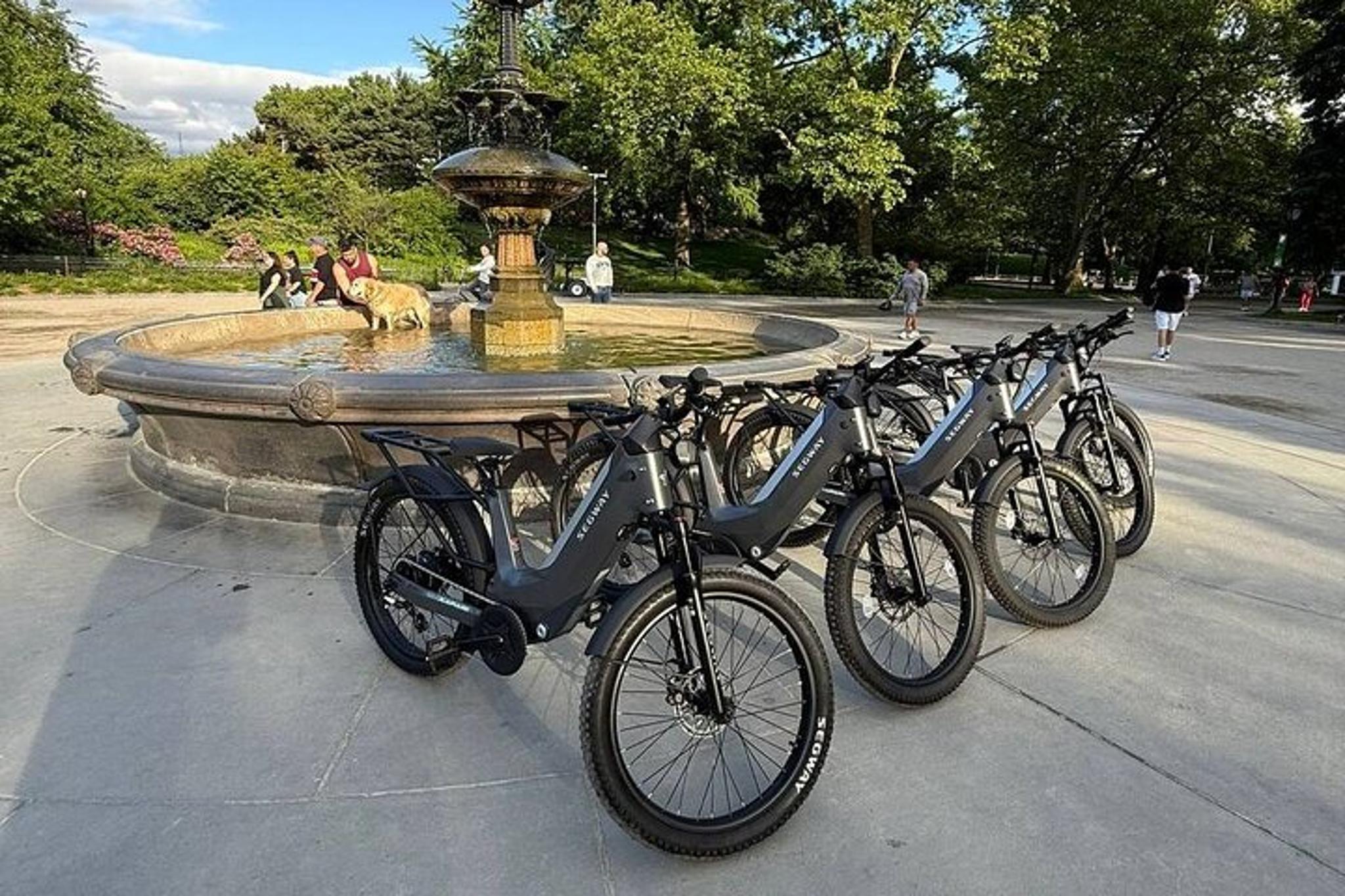 New York City Electric Bike Tour of Central Park - Image 4