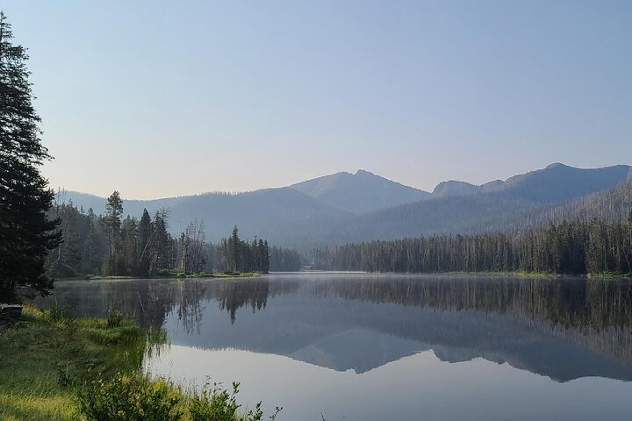 Yellowstone Winter Wildlife Tour - Image 4
