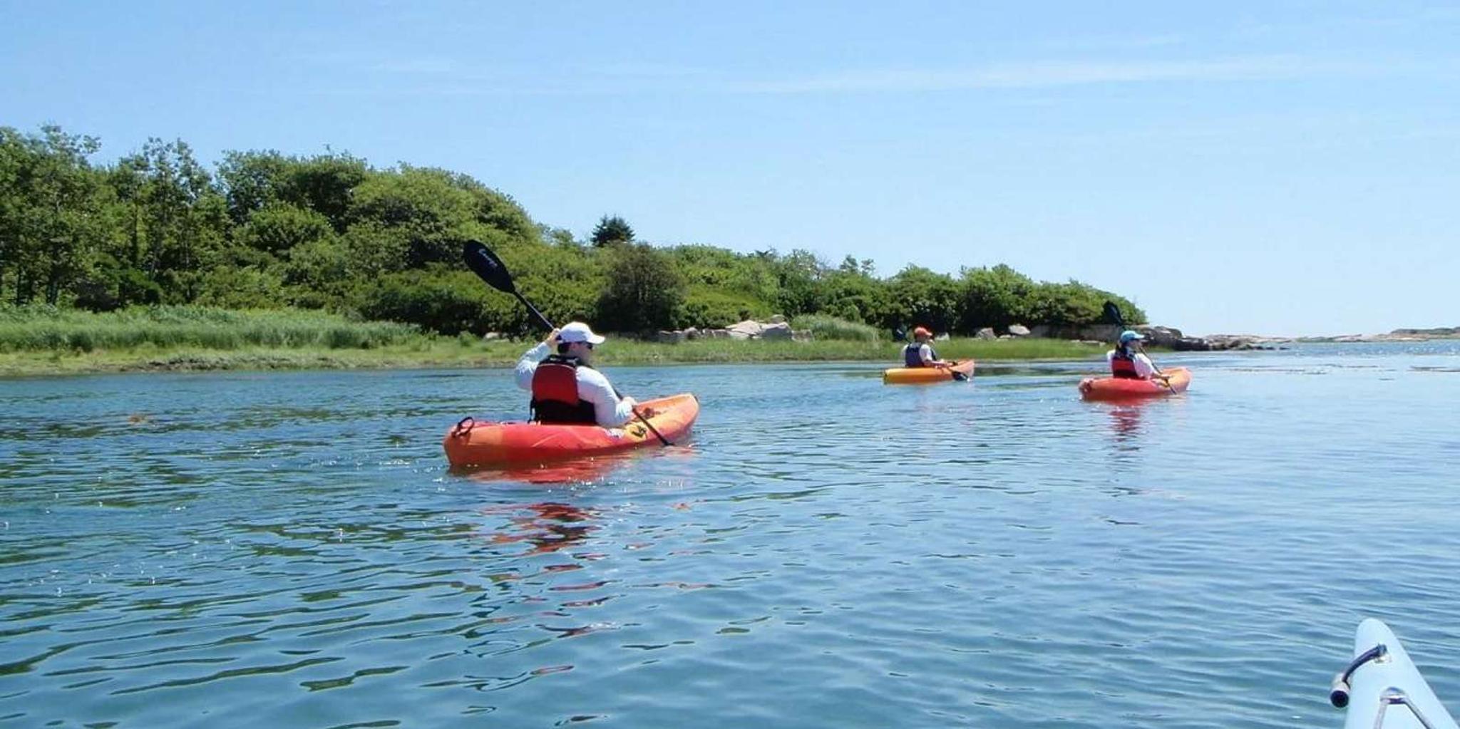 Biddeford Pool Kayak or SUP Rental 3 hr