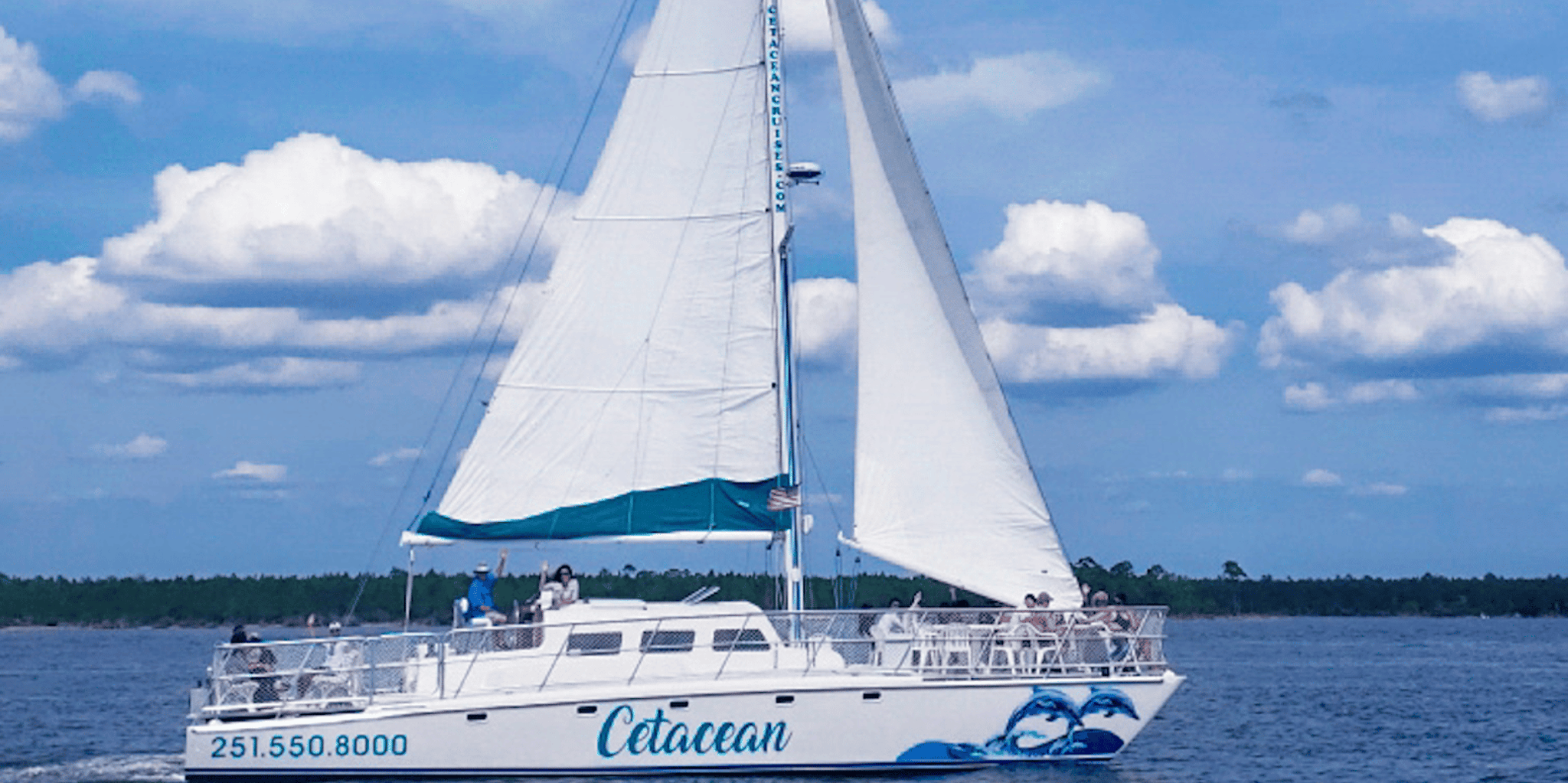 Orange Beach Dolphin & Sailing Cruise on a Catamaran - Image 2