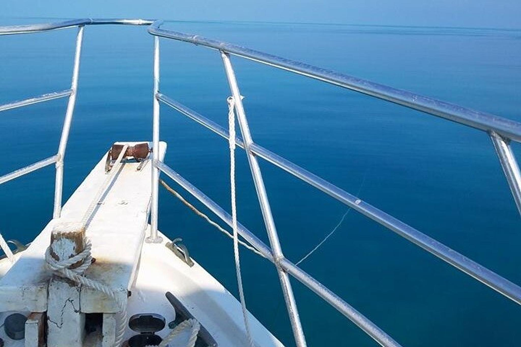 Islamorada Eco Tour: Snorkel, Kayak, and Lunch - Image 5