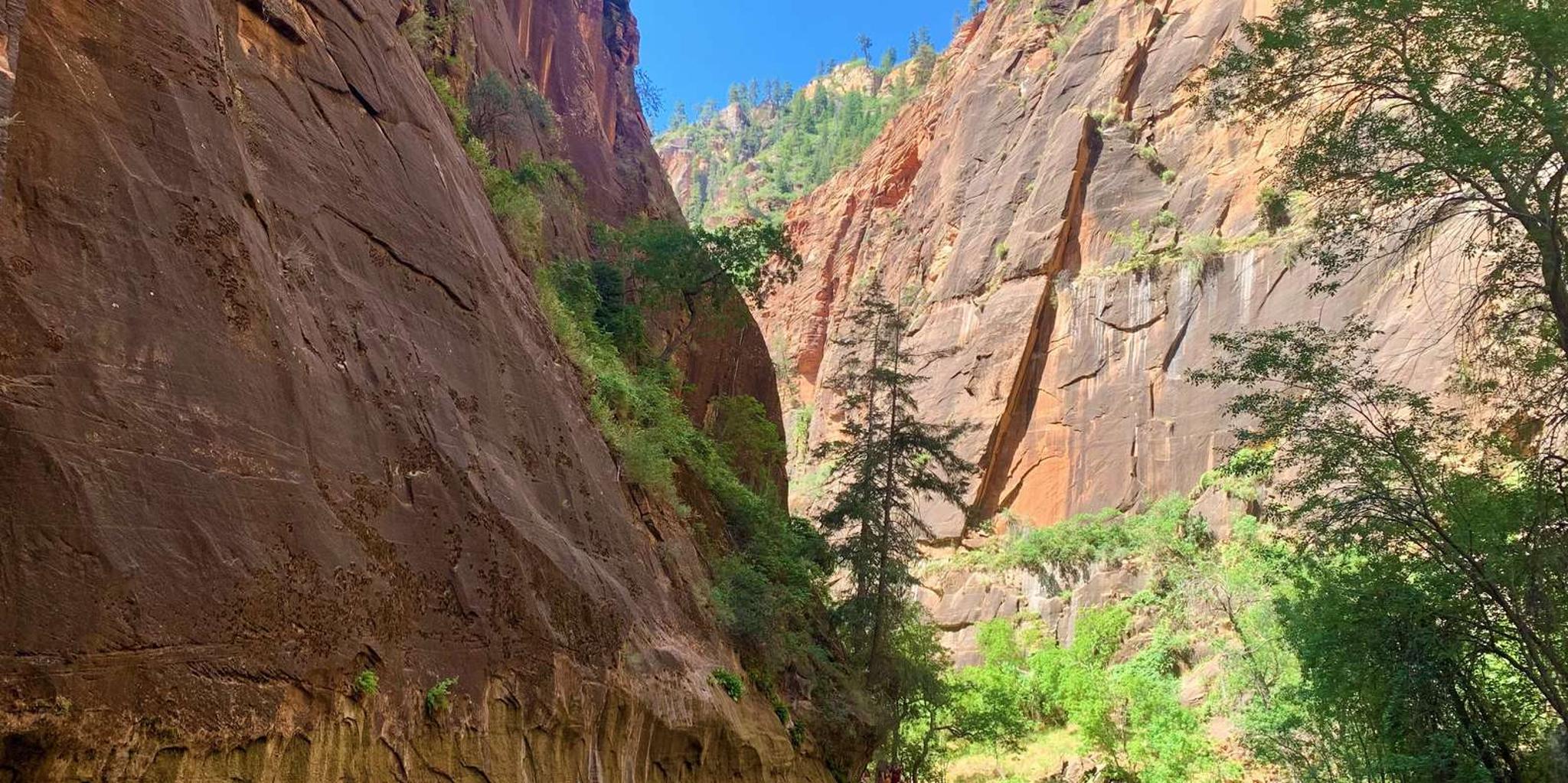 Las Vegas Zion National Park Small Group Tour - Image 3