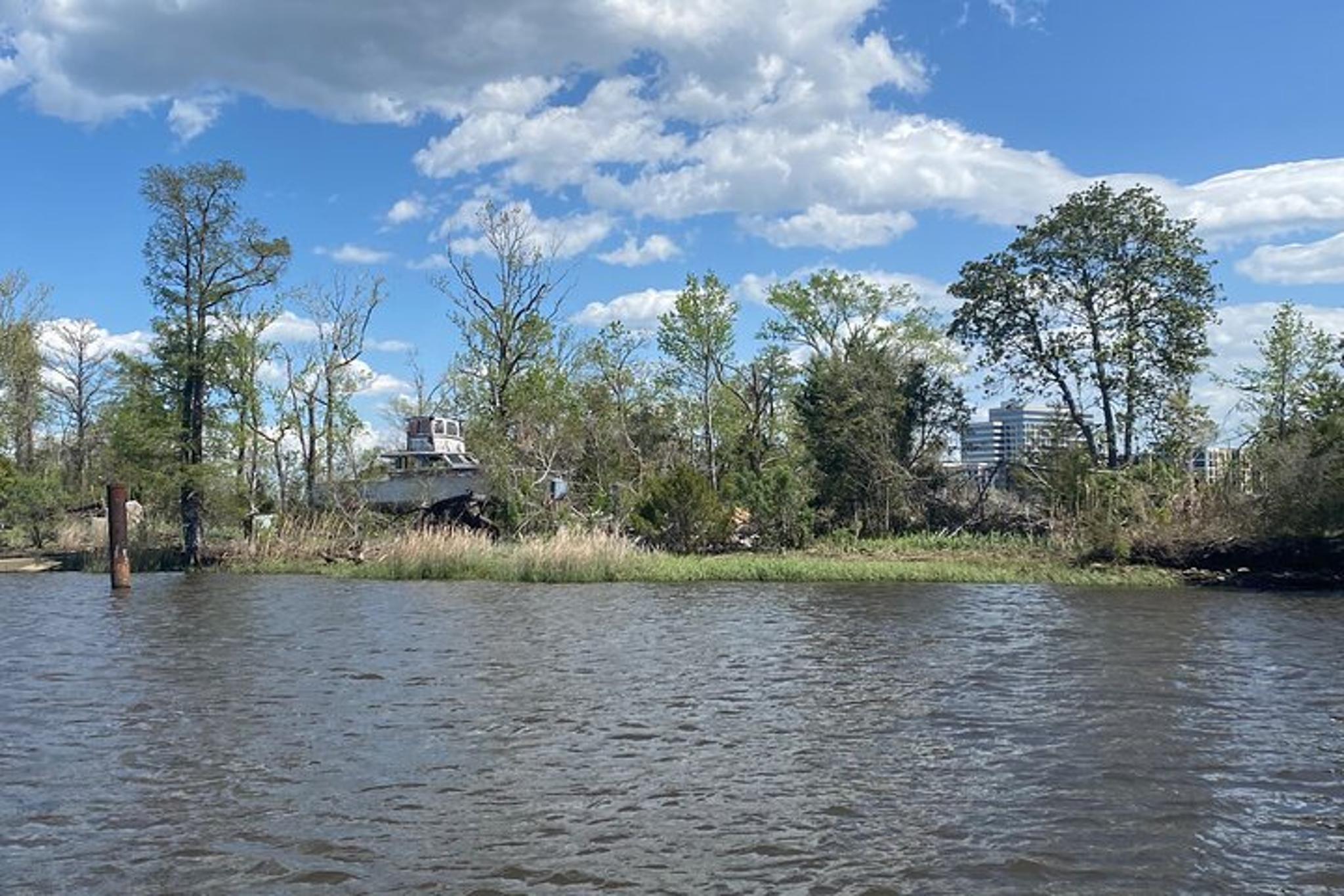 Wilmington Black Water Adventure Cruise 105 Min - Image 4