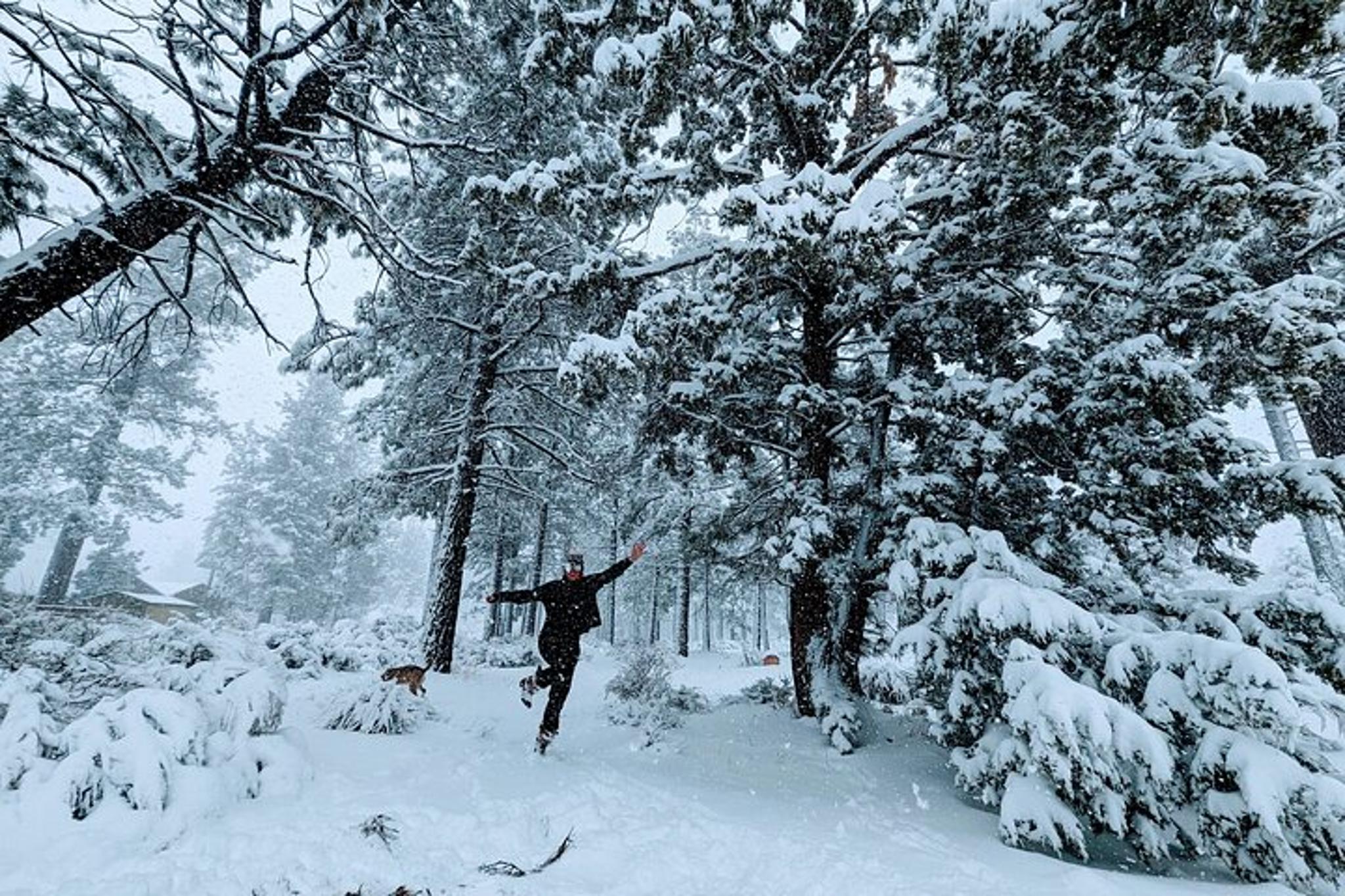 Big Bear Lake Snowshoe Tour with Hot Chocolate - Image 5