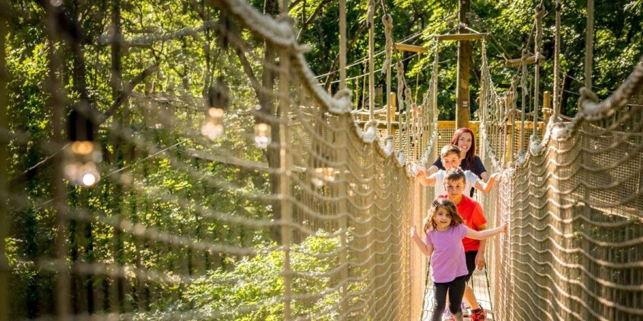 Branson North Pole Adventure and Adventure Park - Image 5