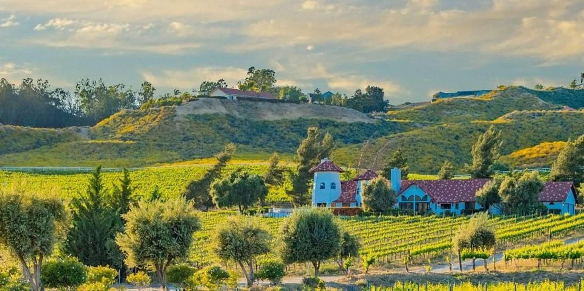 Los Angeles Temecula Wine Country Private Tour 6 hr - Image 6