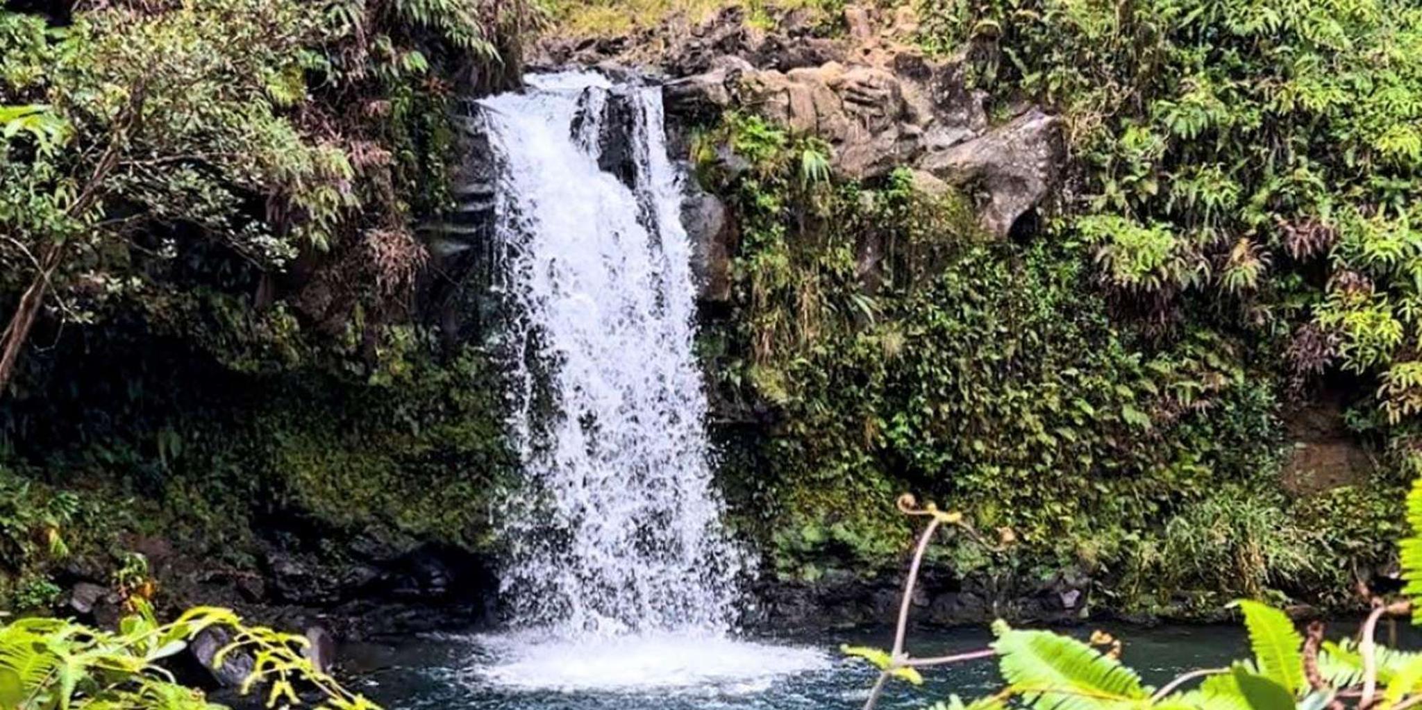 Maui Road to Hana Tour with Lunch - Image 6