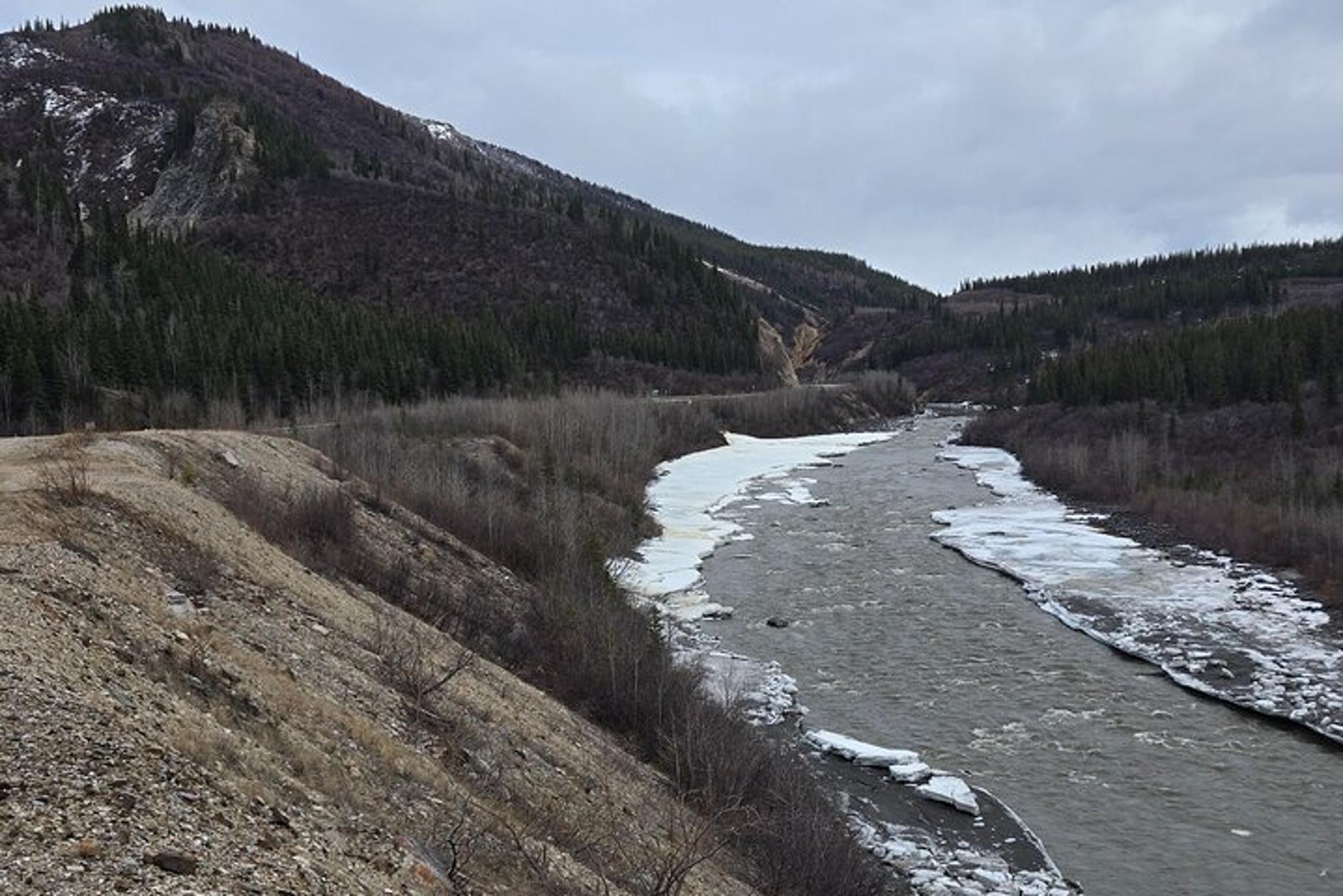 Denali National Park Shuttle - Image 3