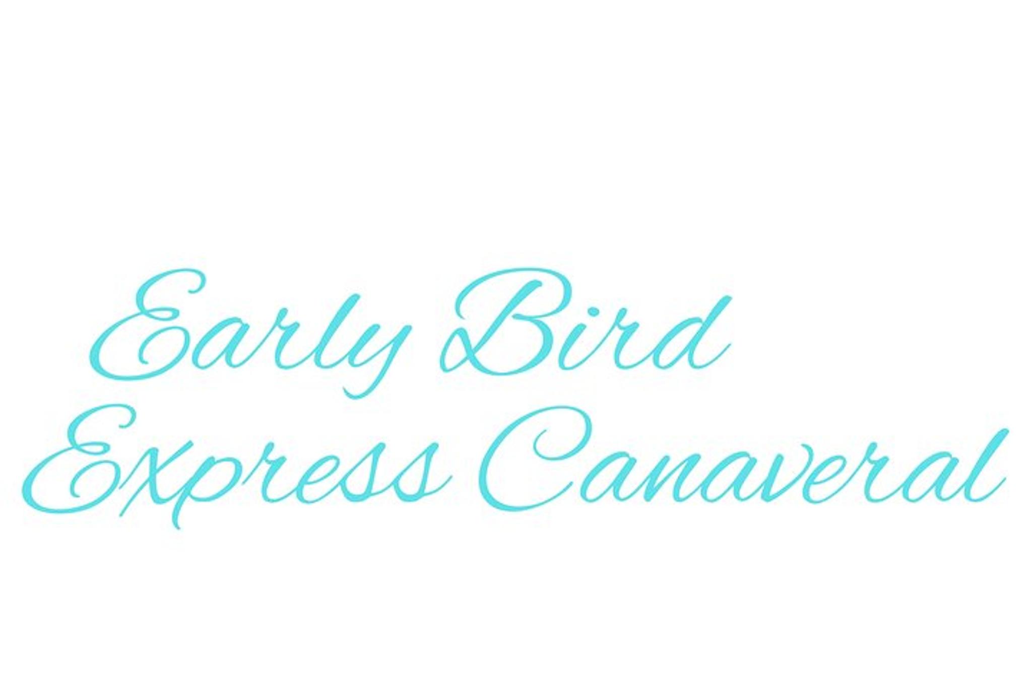 Orlando Private Transportation to Disney Cruise Line - Image 6