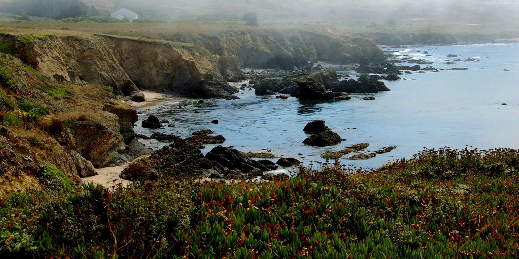 San Francisco Monterey and Carmel Day Tour - Image 4