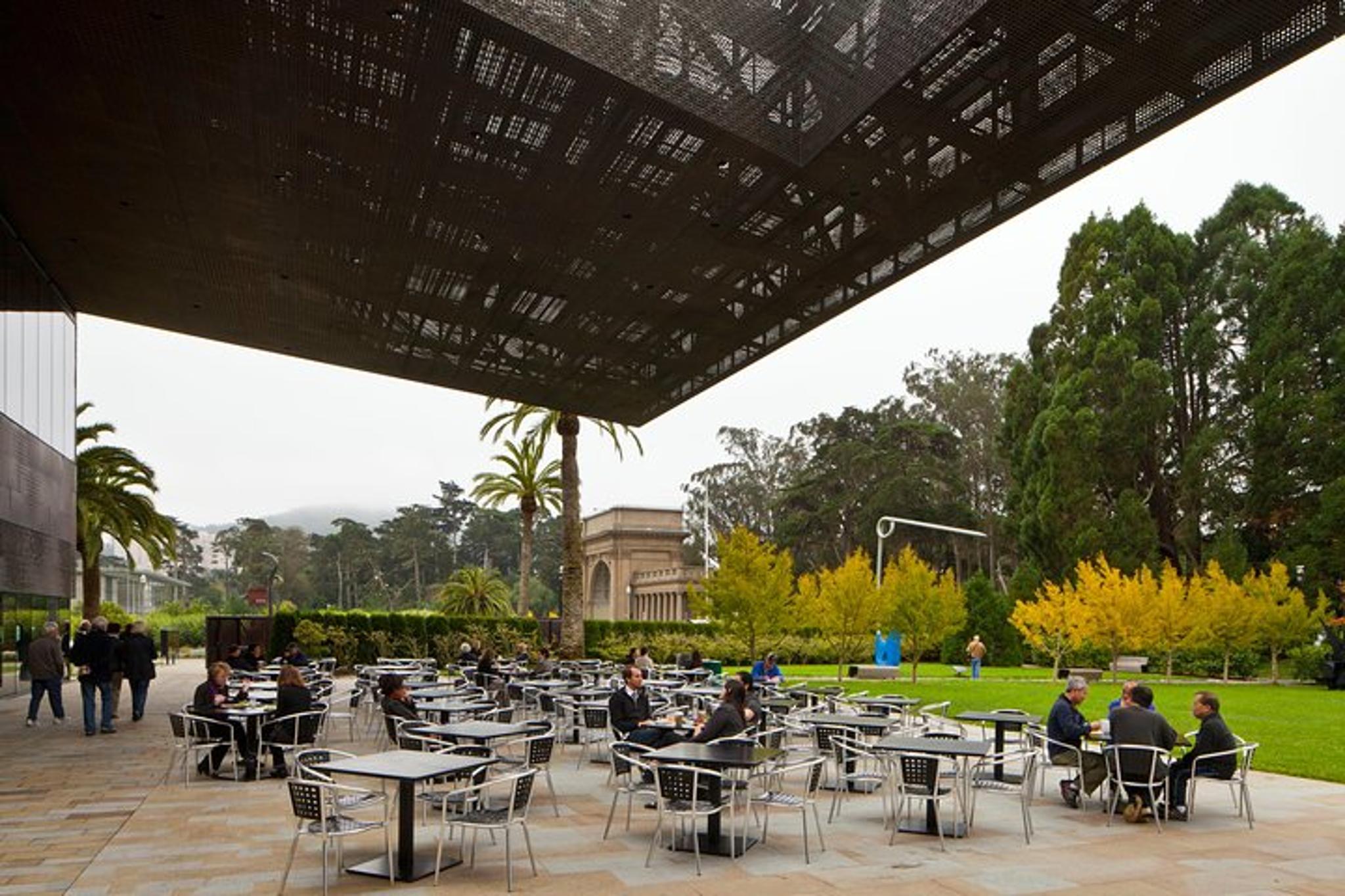San Francisco de Young Museum Admission - Image 4
