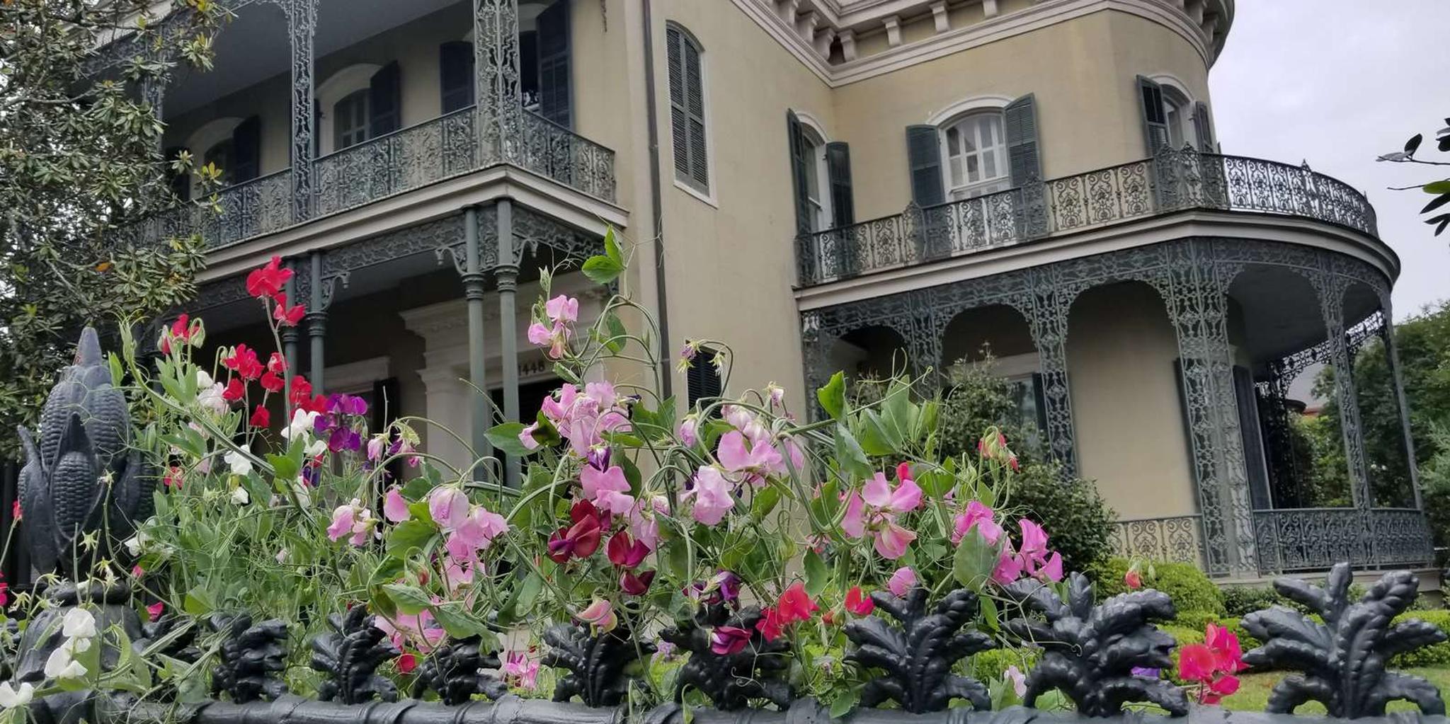 New Orleans Garden District Walking Tour - Image 6