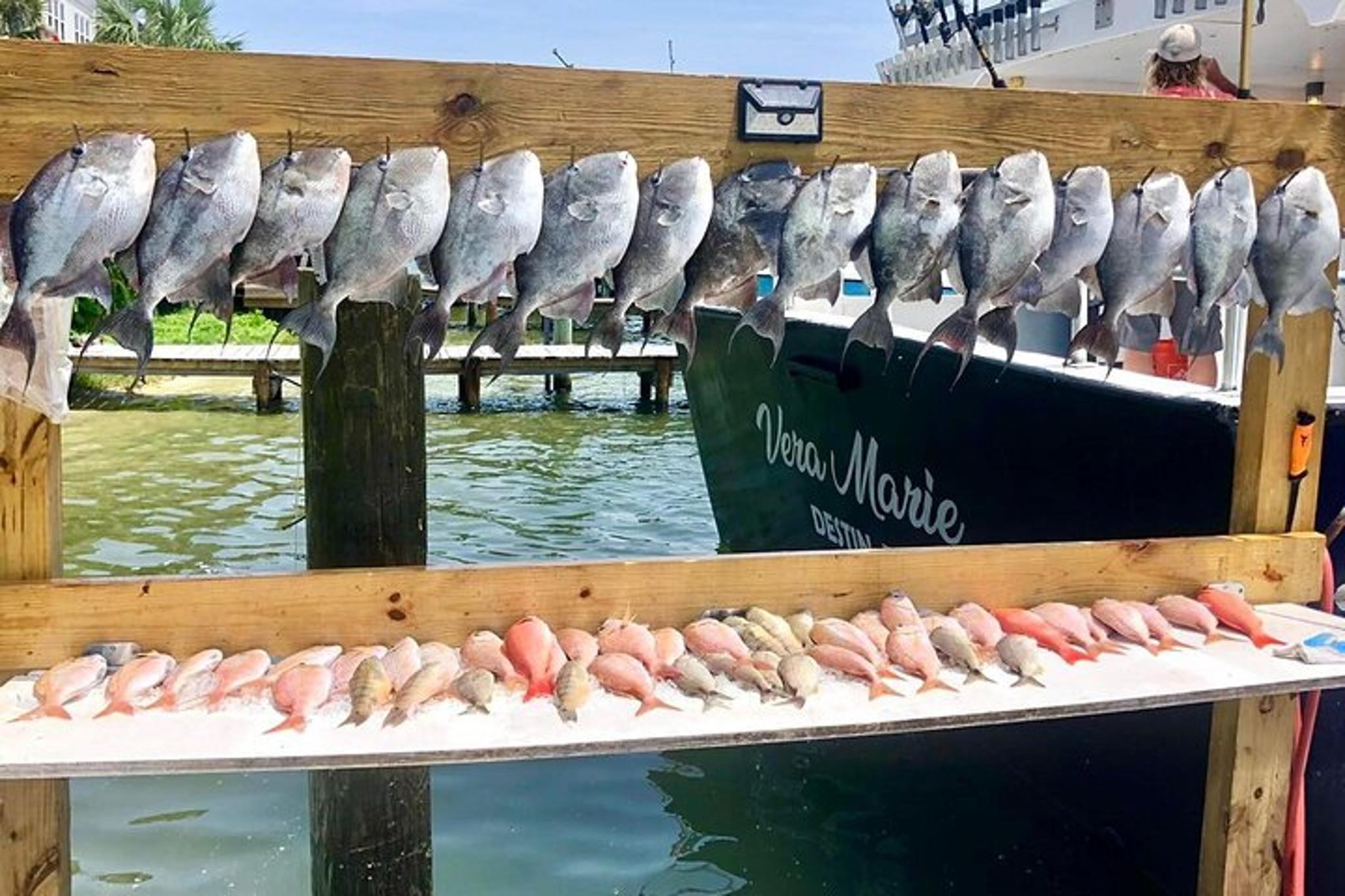 Destin Fishing Trip - Image 5