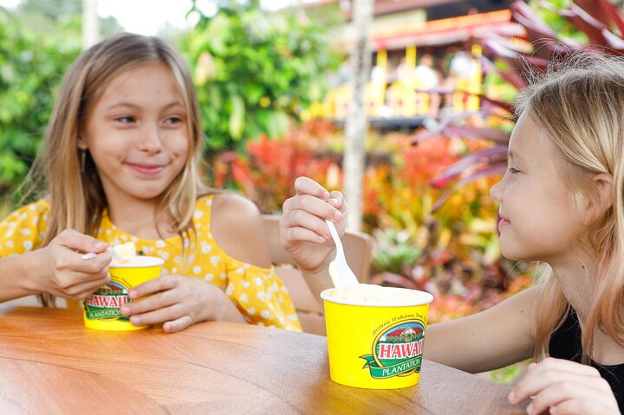 Oahu Haleiwa & Dole Plantation Tour - Image 3