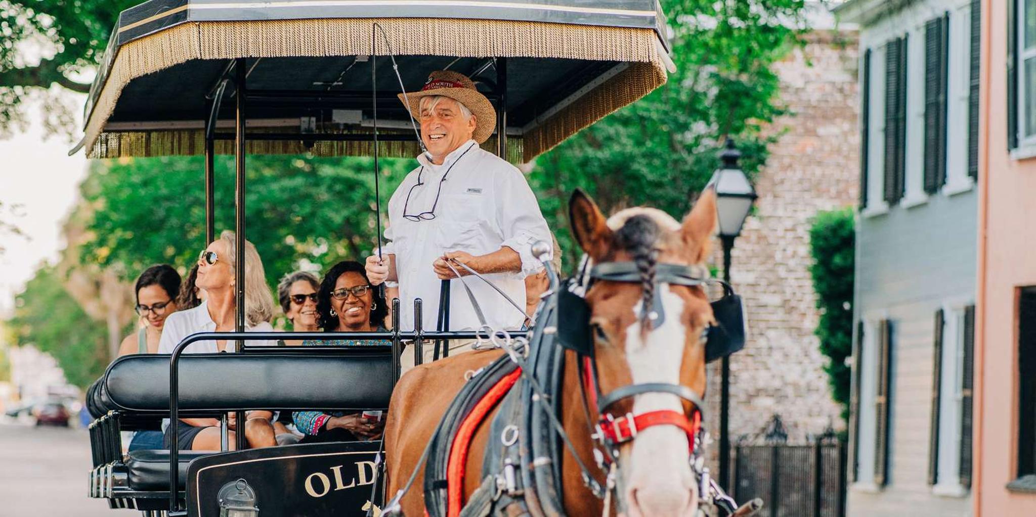 Charleston Horse-Drawn Carriage Tour - Image 2