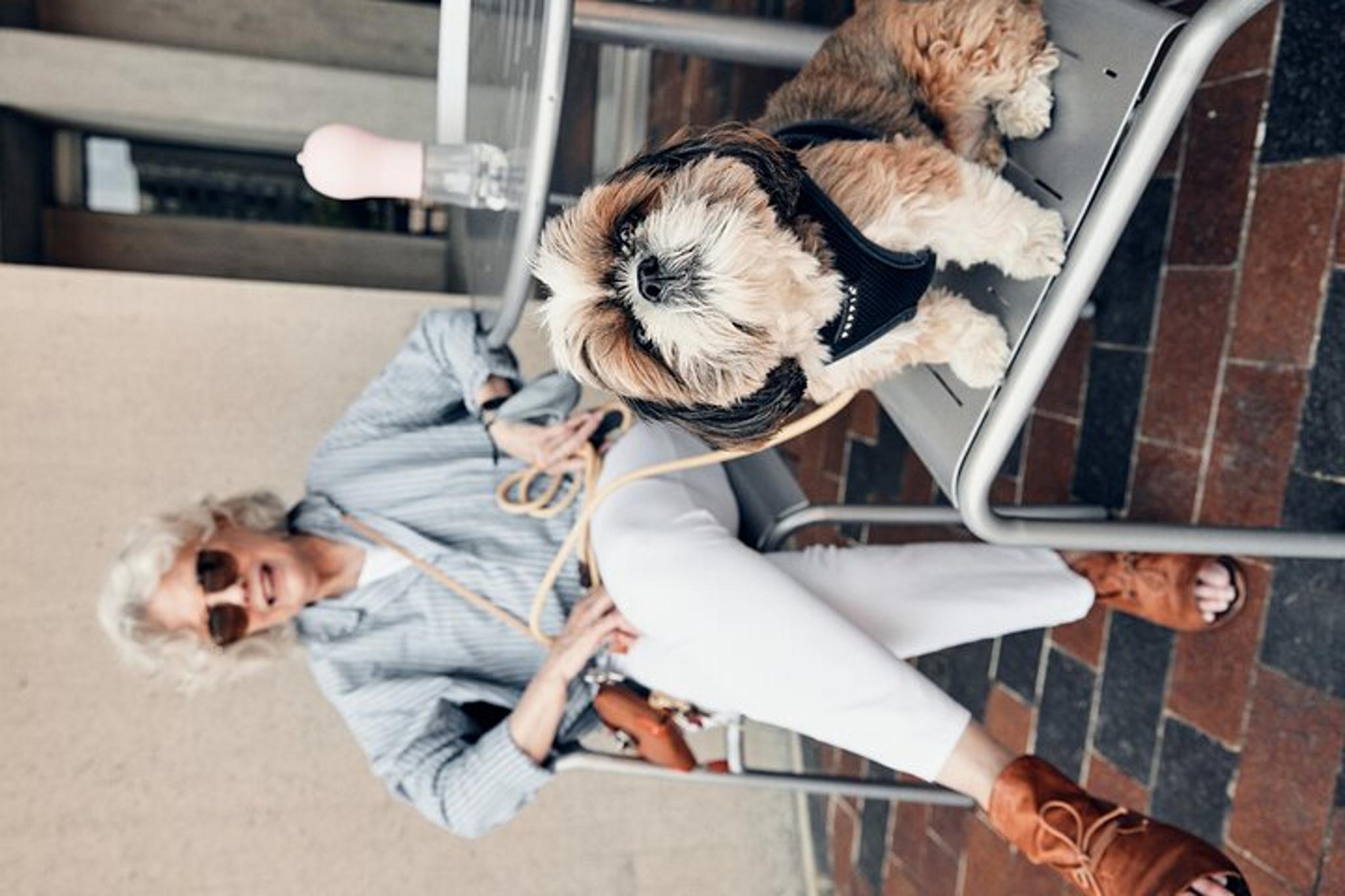 Boston Photowalk - Image 6