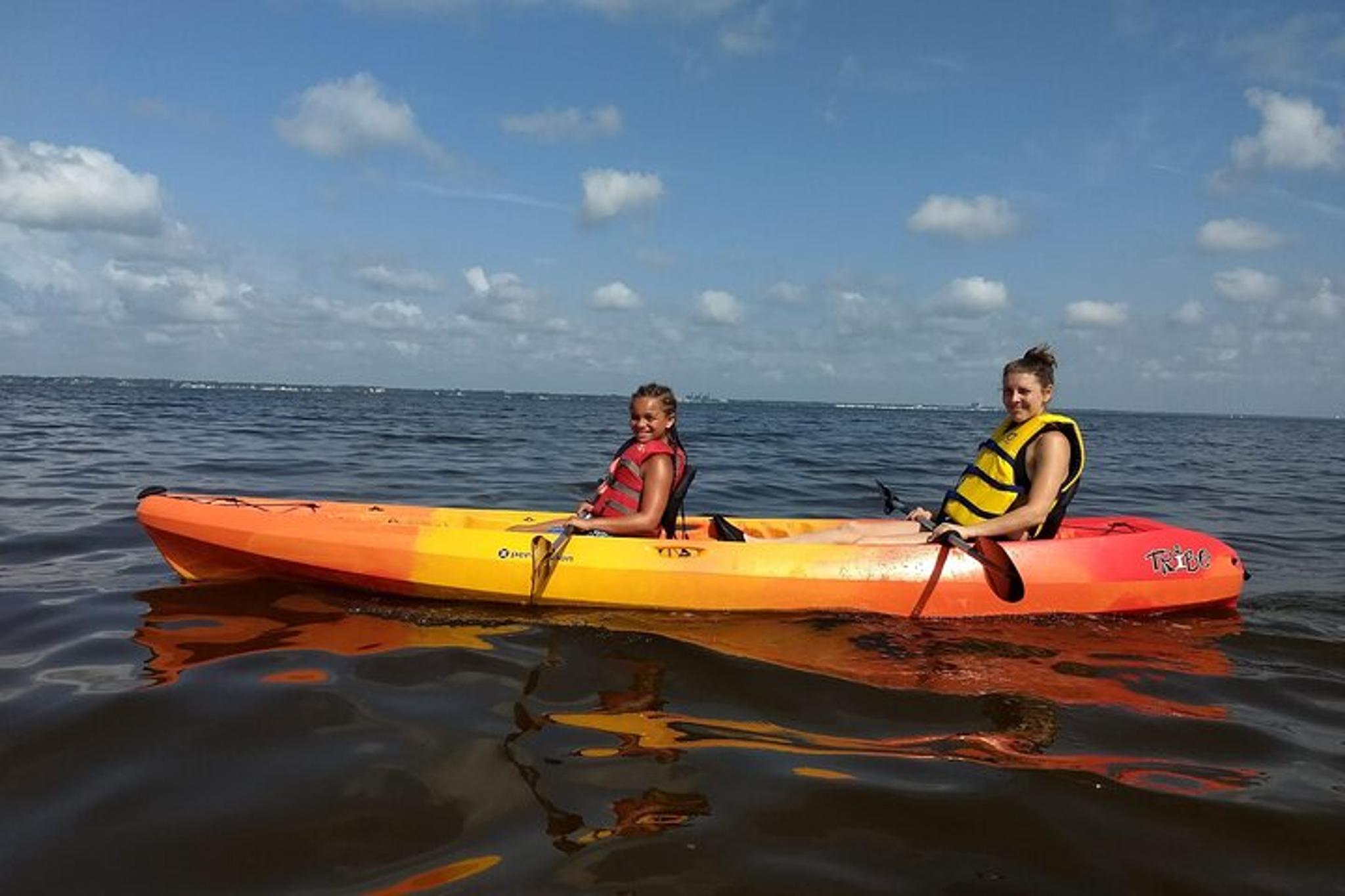 Manatee Cove Kayaking Tour with Manatee & Dolphin Sightings