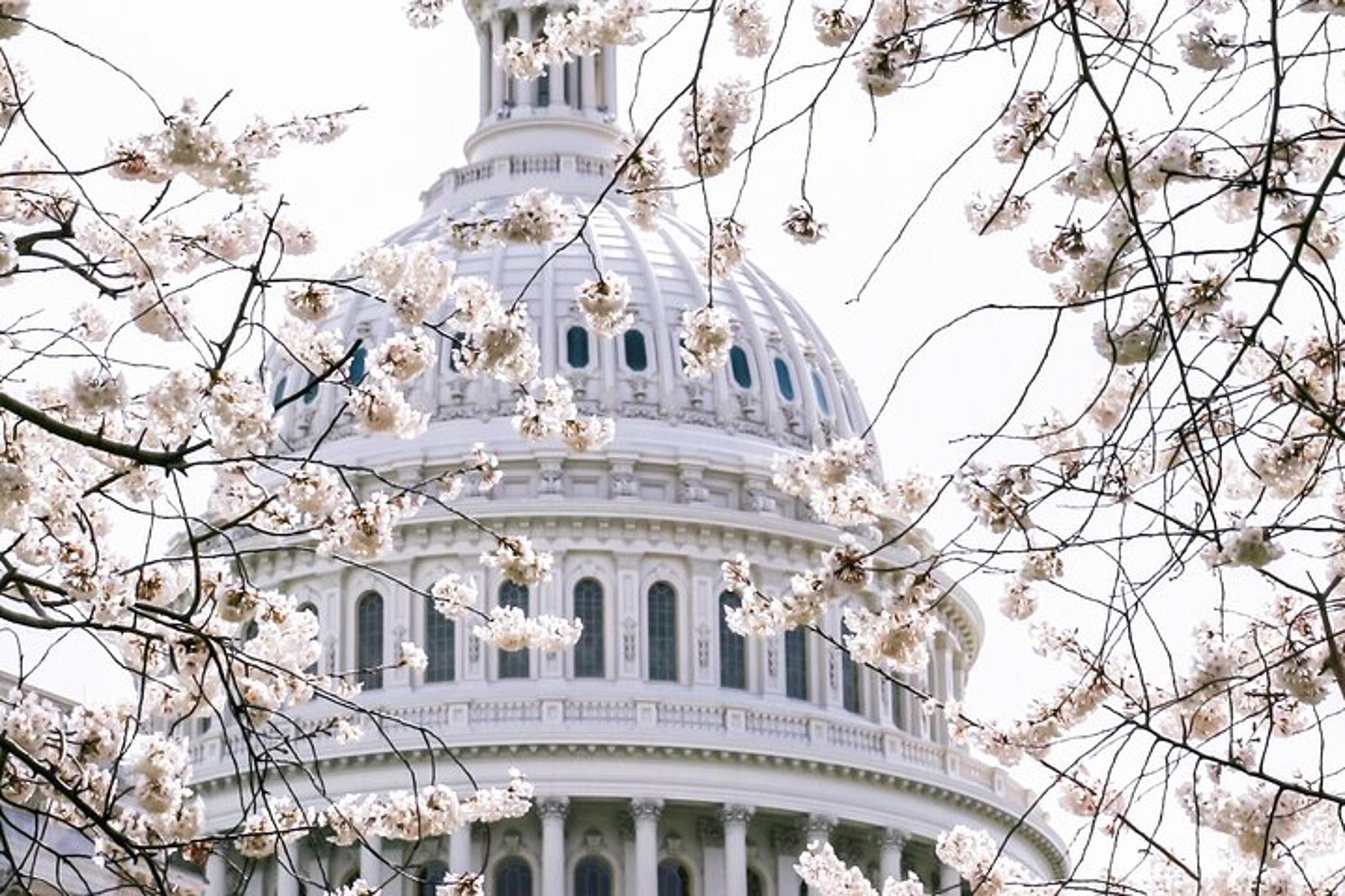 Washington DC and Amish Country Tour 2 Days - Image 2
