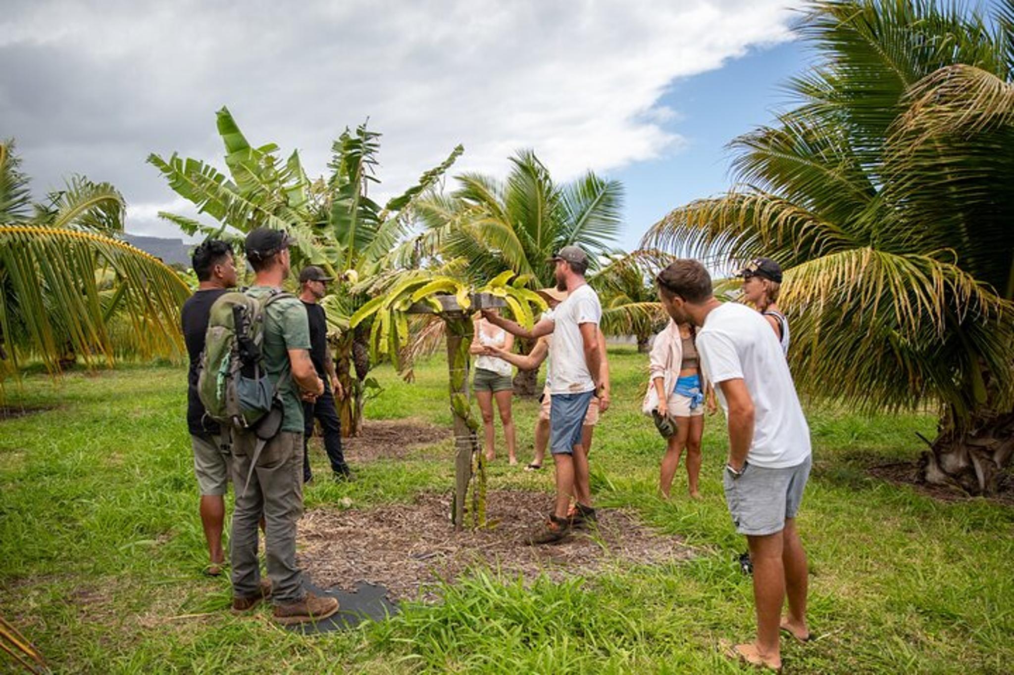 Maui Surf Safari and Macnut Tour - Image 6
