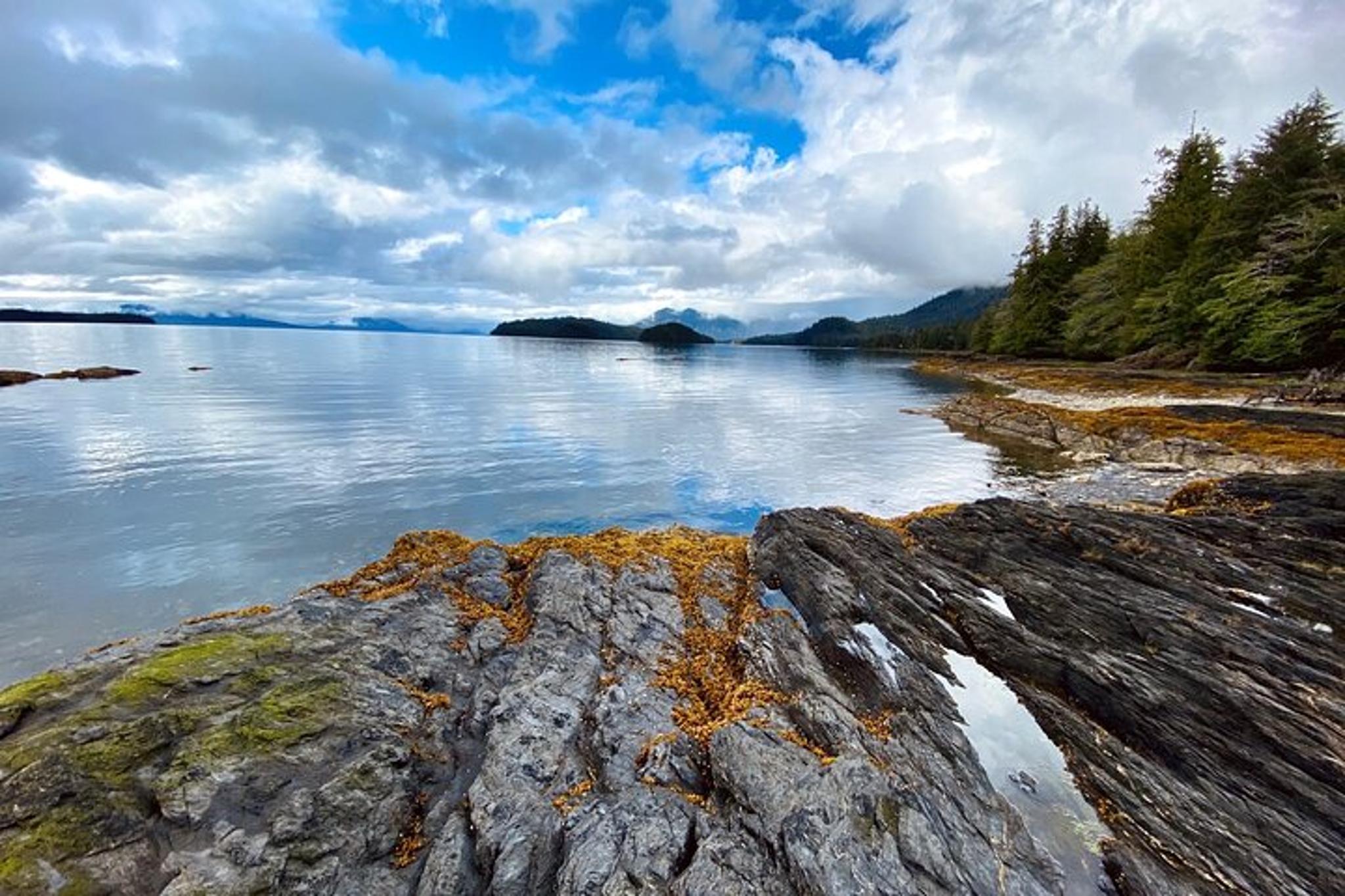 Ketchikan Rainforest, Beach & Wildlife Walk 3 hr - Image 2