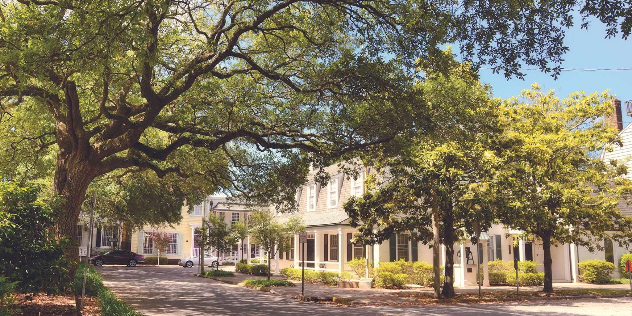 Savannah Architectural Walking Tour - Image 3