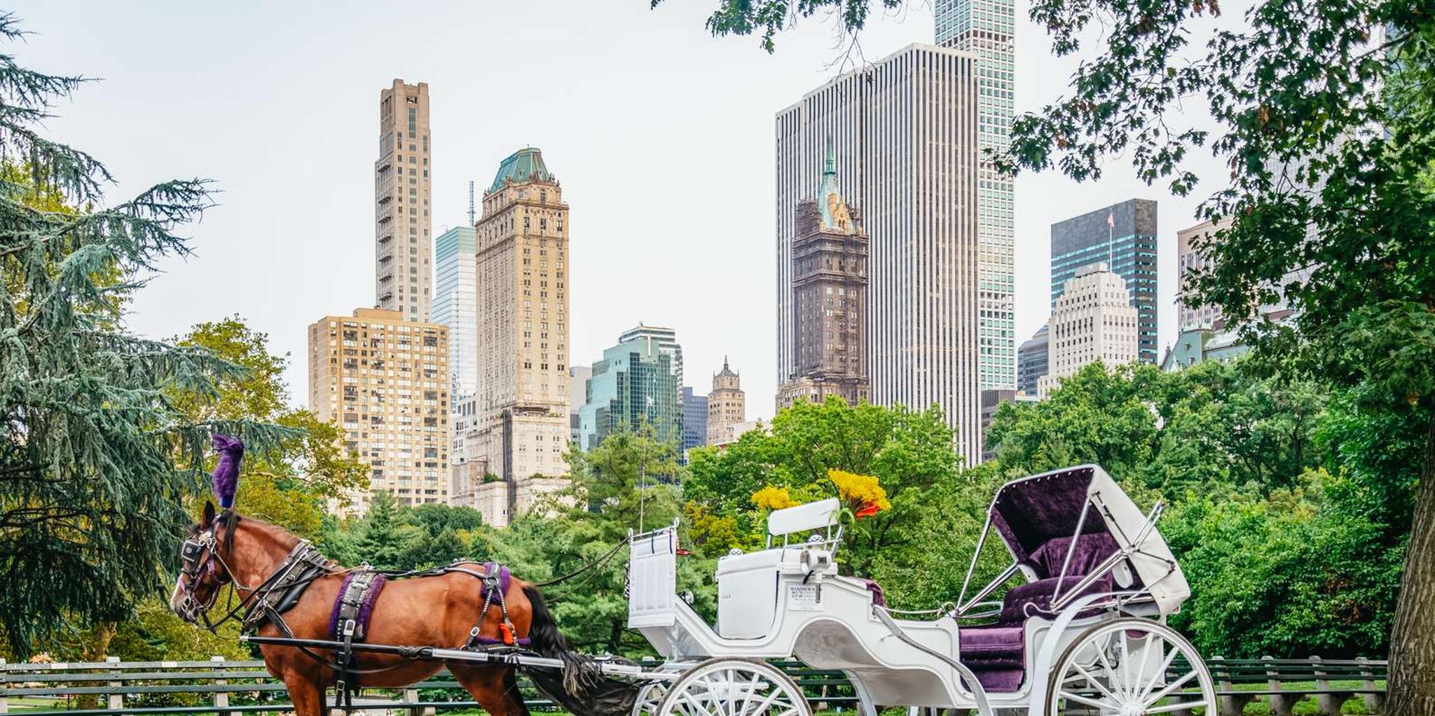 New York Central Park Horse Carriage Ride