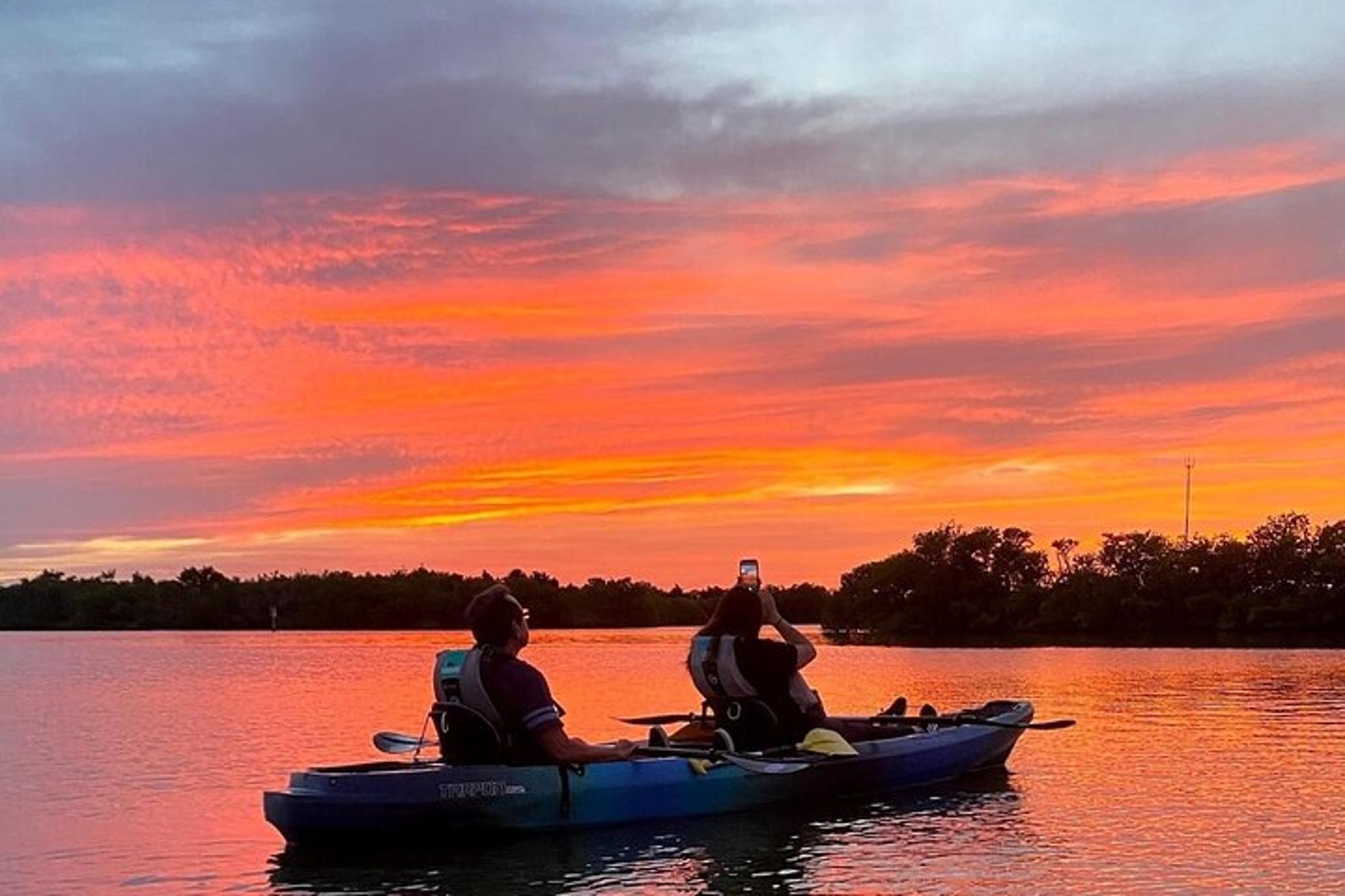 Cocoa Mangrove Tunnel & Bio Comb Jelly Sunset Tour