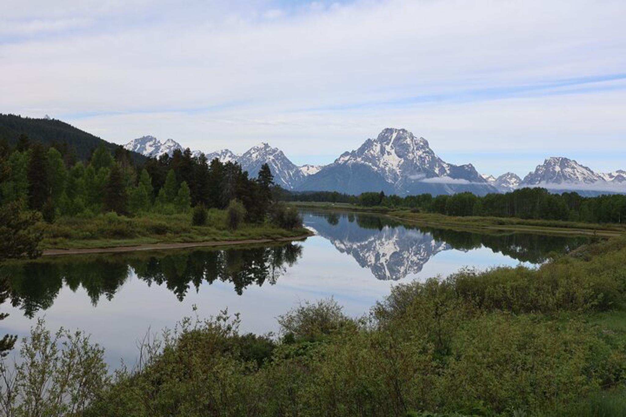 Grand Teton National Park Wildlife Tour - Image 4