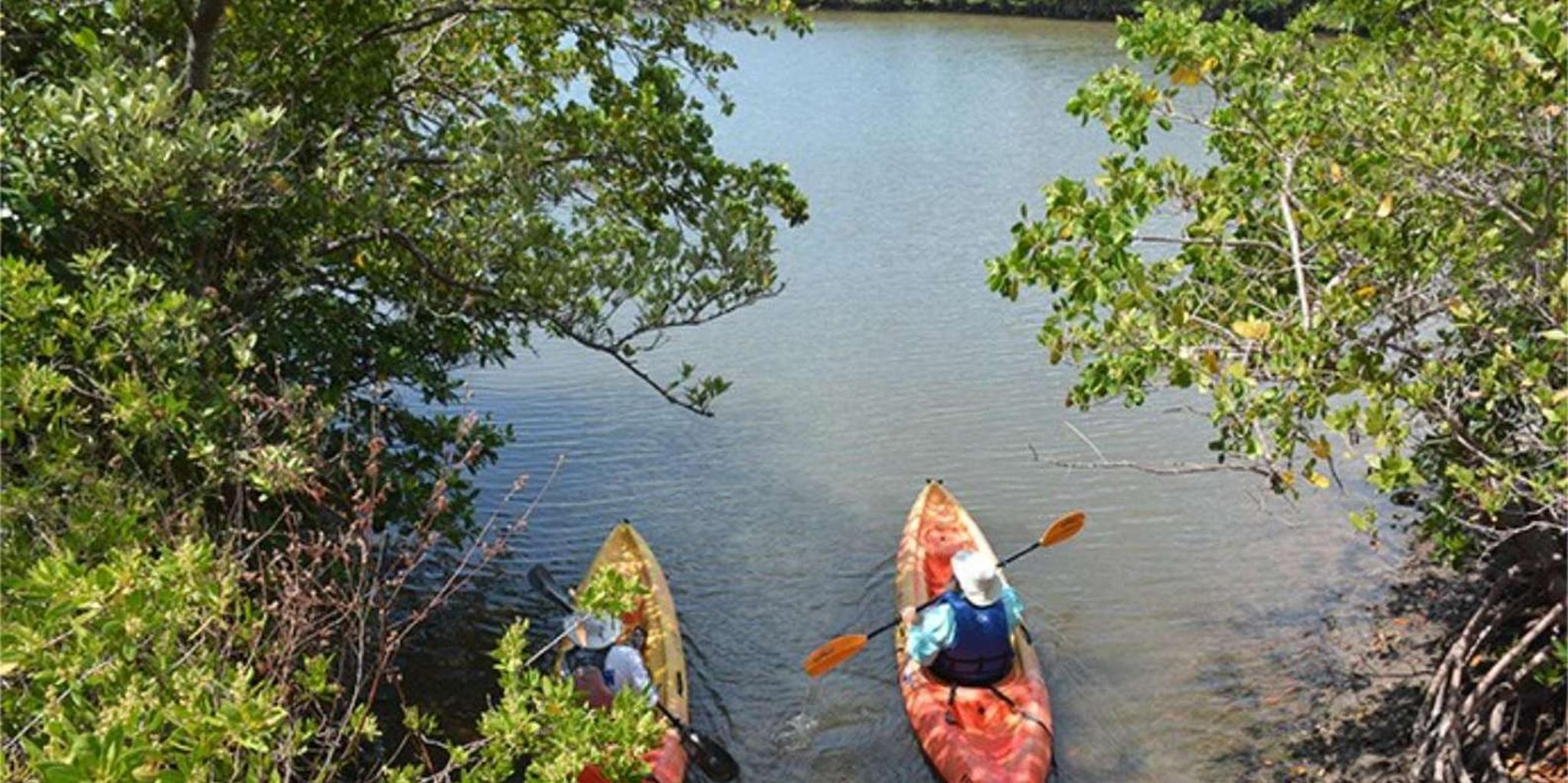 Miami Oleta River State Park Eco Paddle Tour 2 hr - Image 2