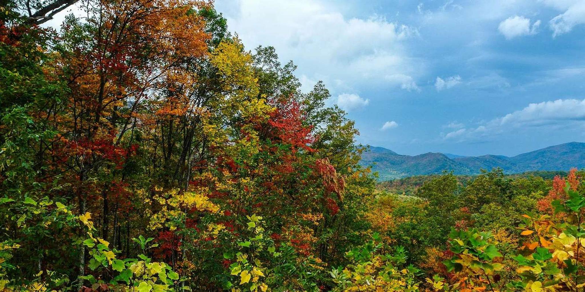 Pigeon Forge Smoky Mountains Jeep Tour - Image 6