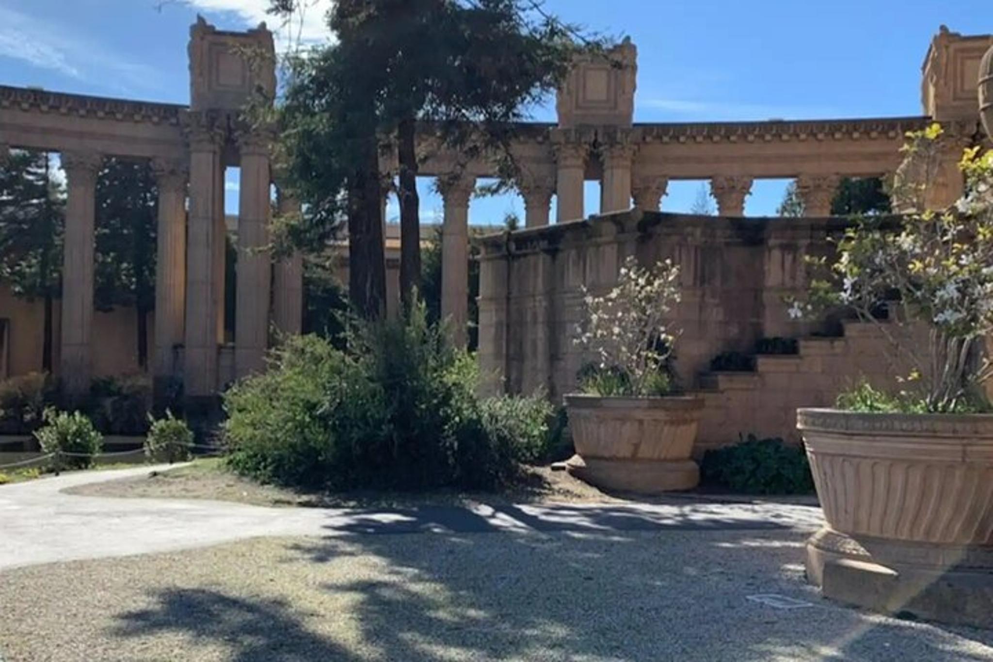 San Francisco Walking Tour of Billionaire Row and Palace of Fine Arts - Image 2