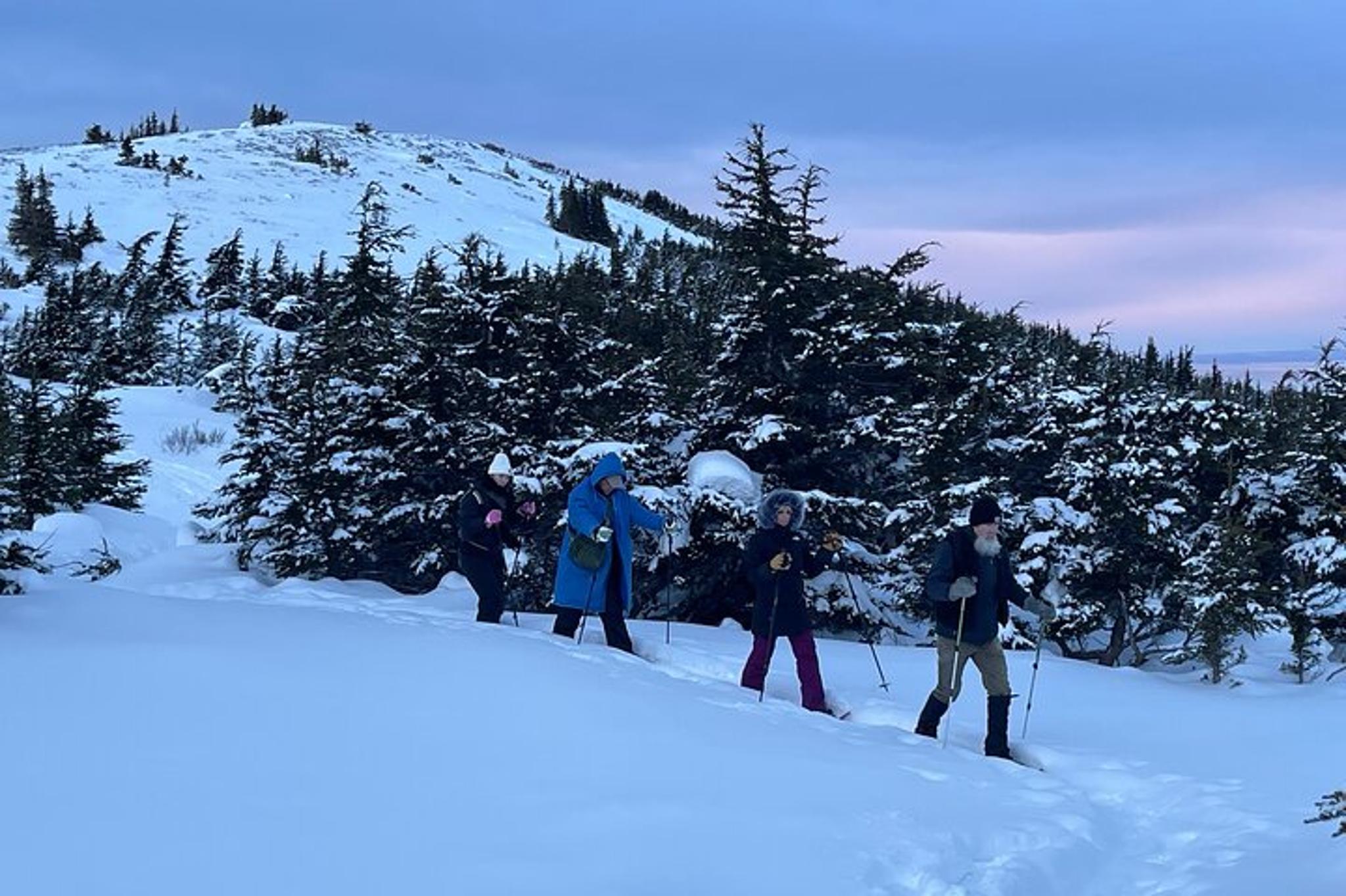 Anchorage Snowshoeing Adventure - Image 6