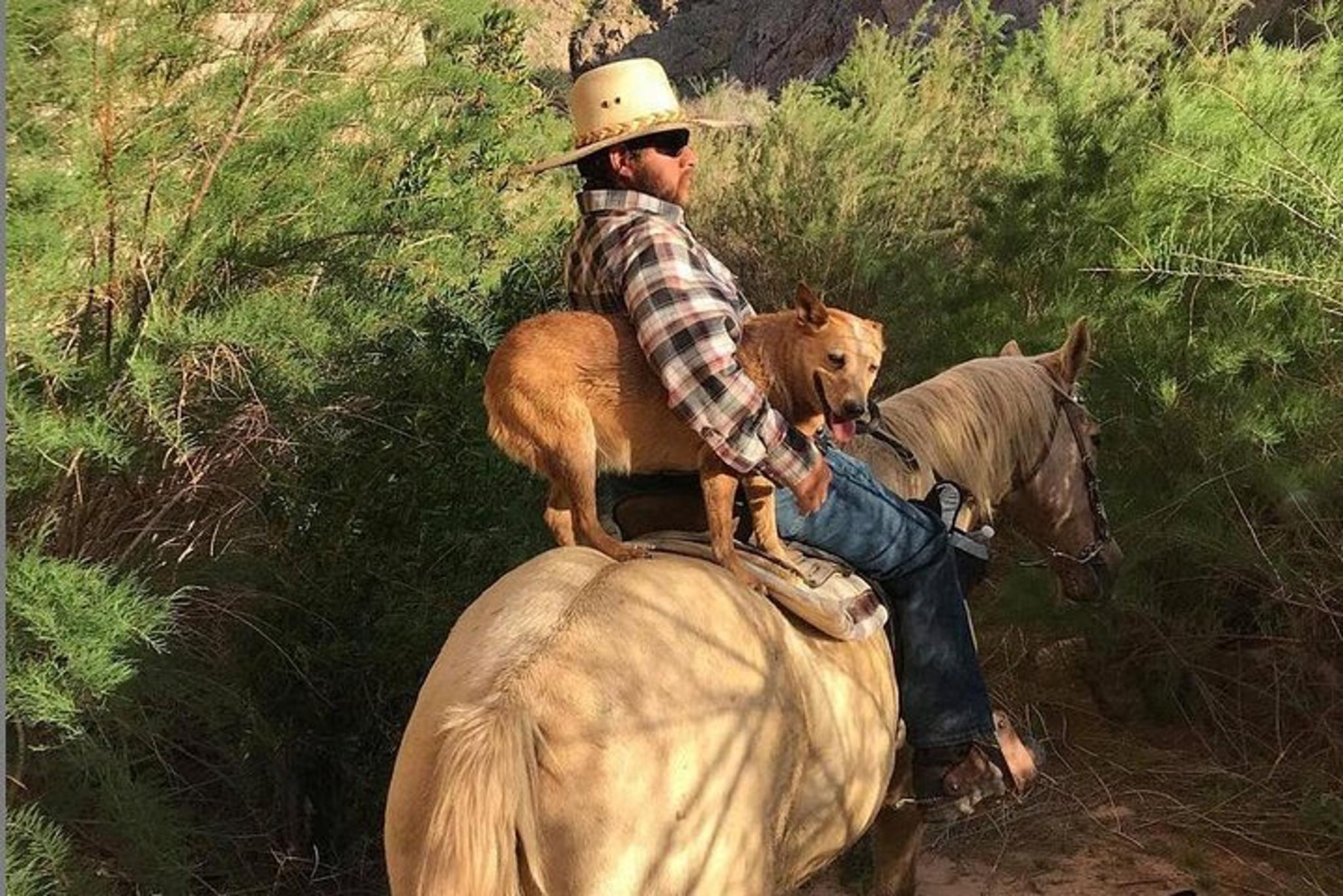 Las Vegas Horseback Ride with Meal - Image 2