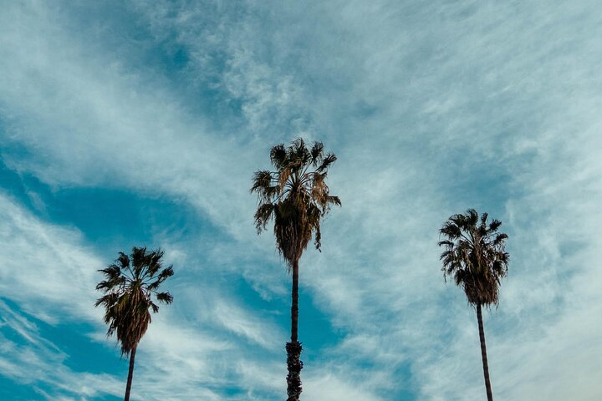 Anaheim Universal Studios Round-Trip Transportation - Image 3