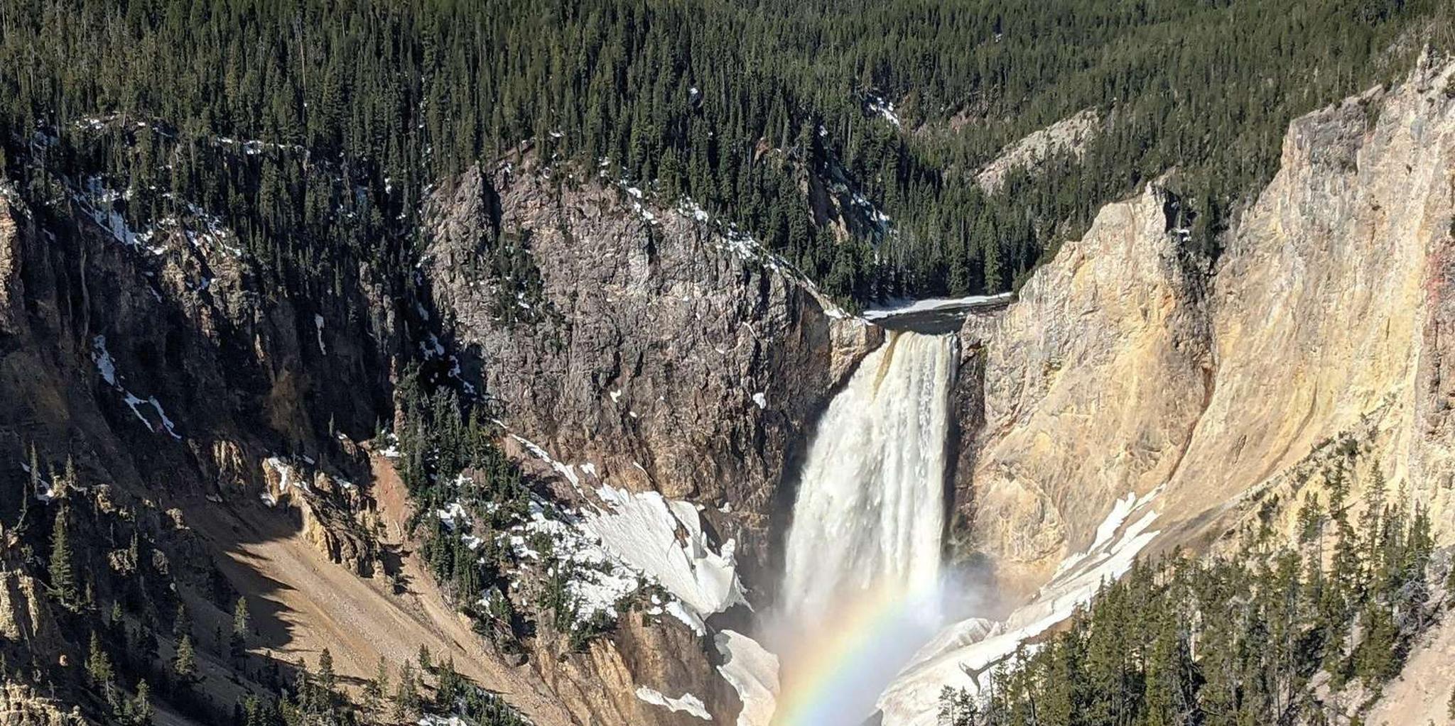 Yellowstone Private Lower Loop Tour with Lunch - Image 2
