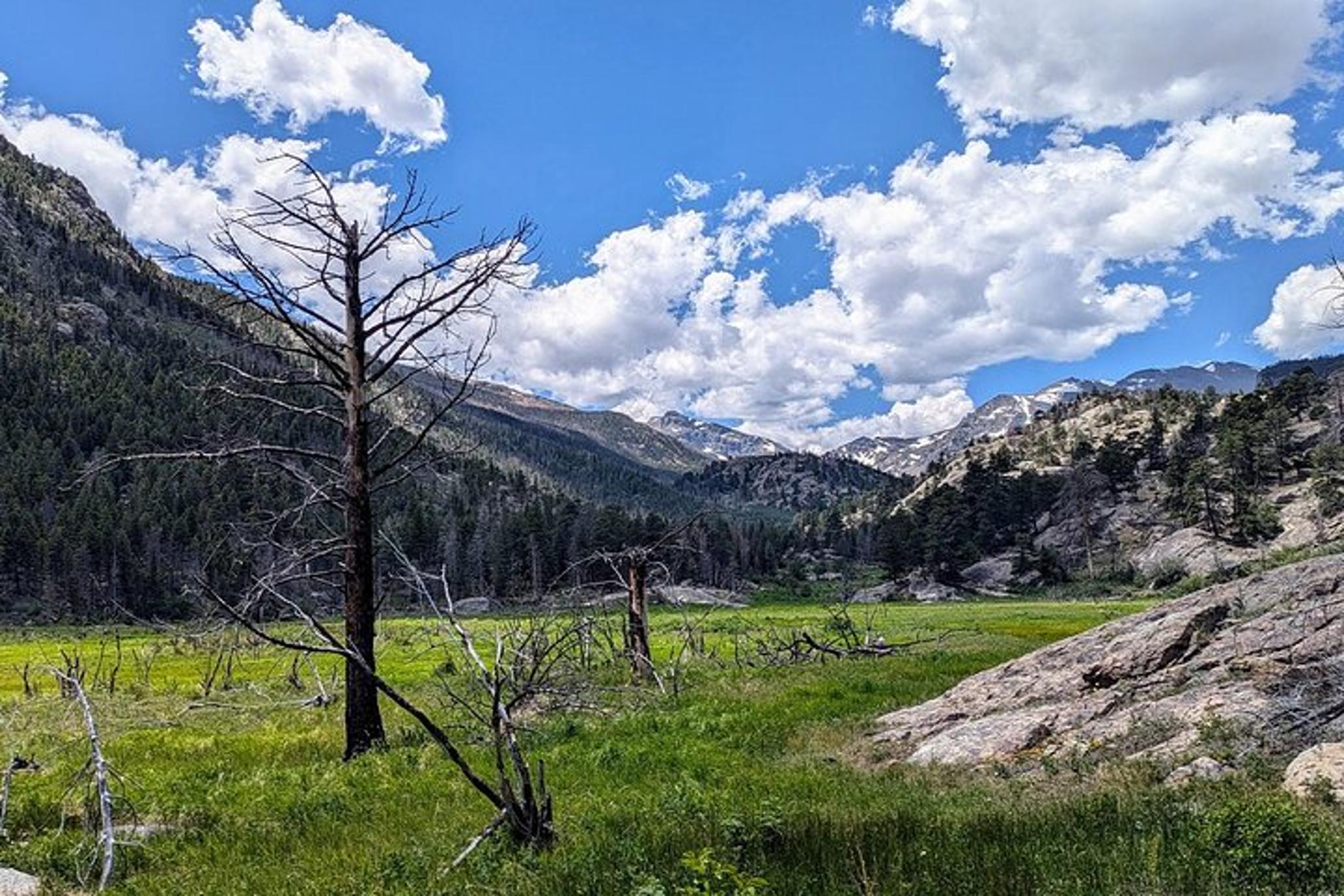 Rocky Mountain National Park Private Hiking Tour - Image 4