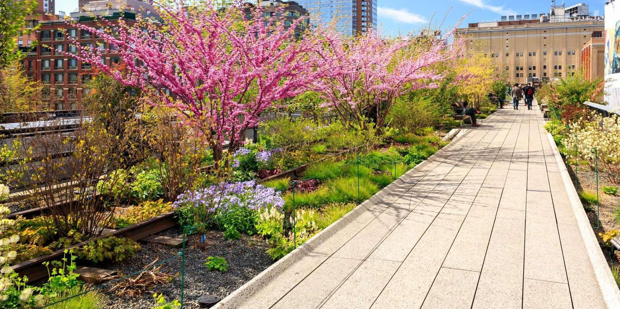 New York High Line and Edge Private Tour