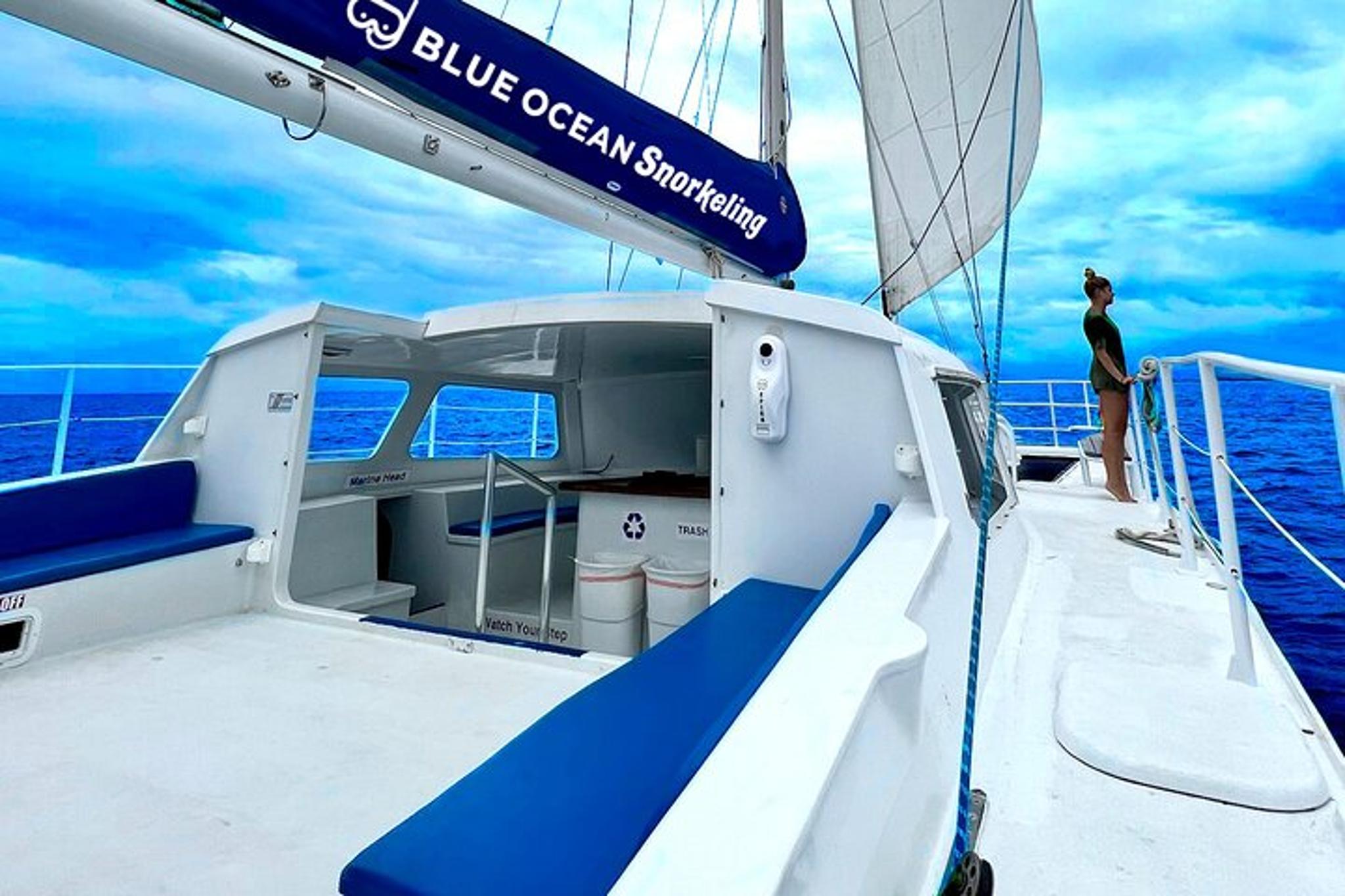 Honolulu Catamaran Snorkel with Turtles 3 hr - Image 3