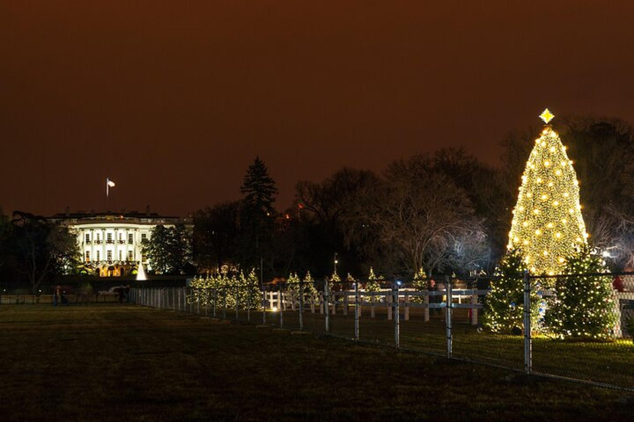 Washington, DC Holiday Lights Night Bus Tour - Image 3