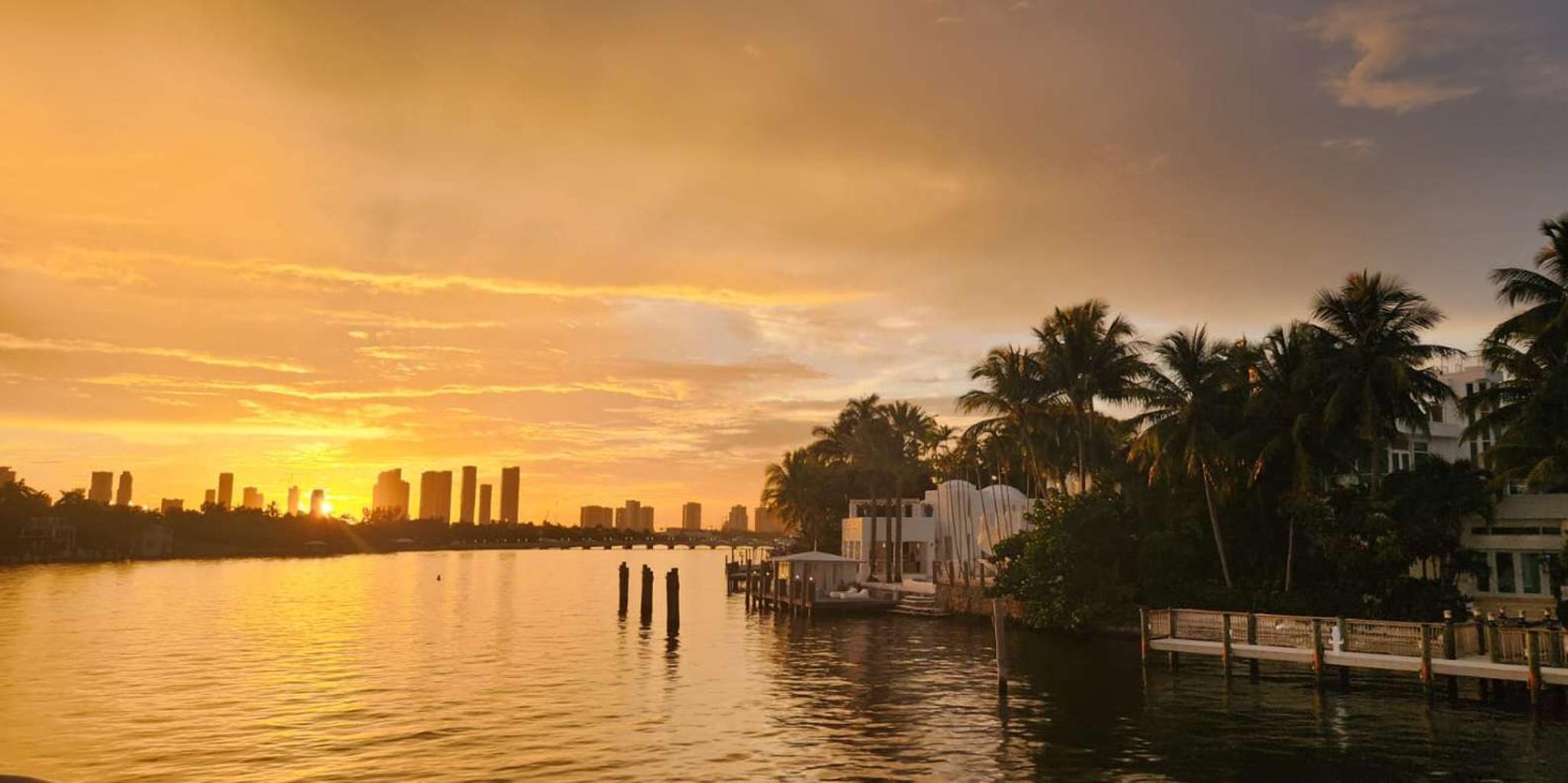Miami Biscayne Bay Millionaire's Row Boat Tour - Image 2
