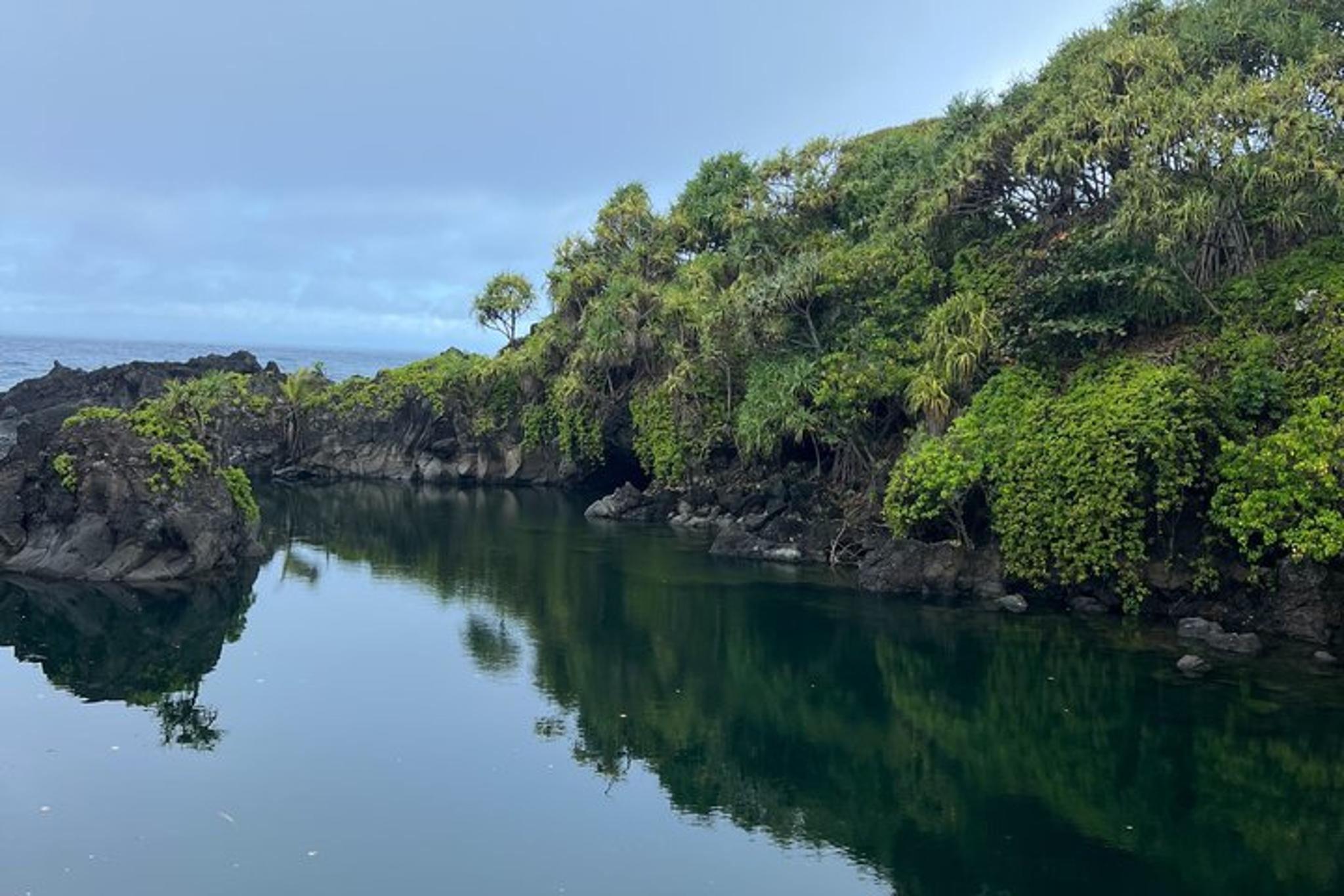 Maui Road to Hana Private Tour with Pickup - Image 3
