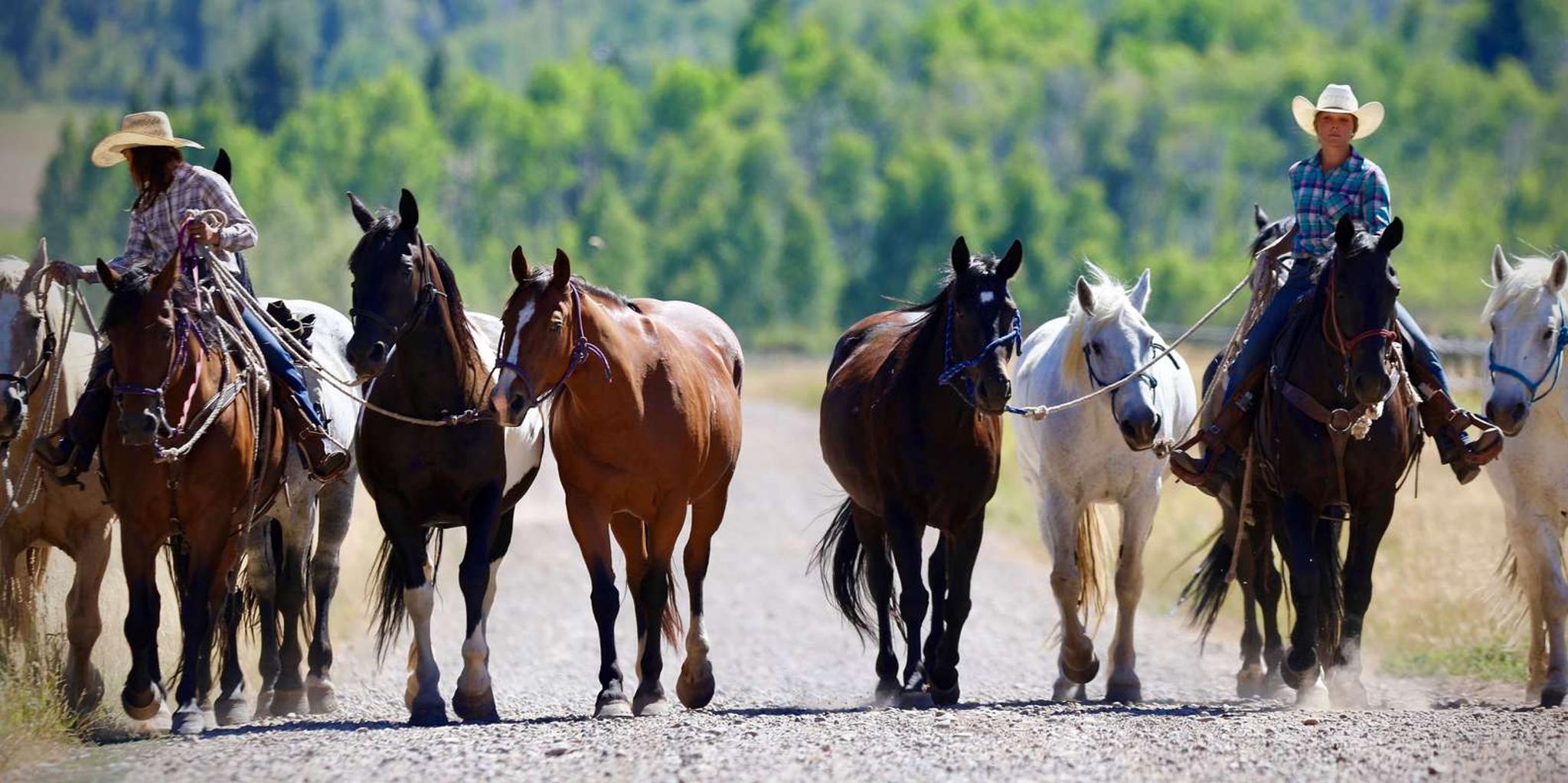Jackson Hole Horseback Tour with Breakfast - Image 5
