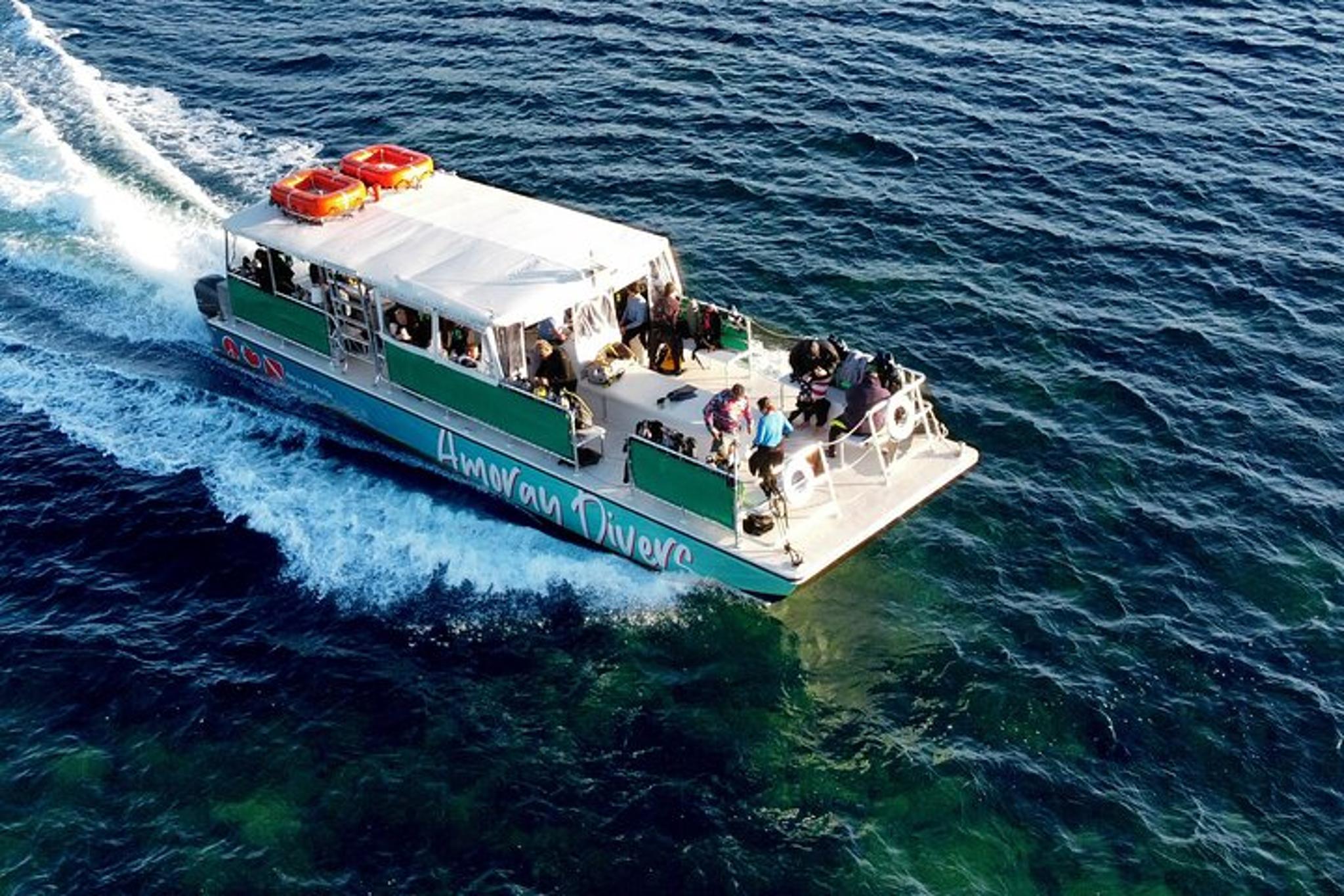 Key Largo Scuba Dive for Certified Divers 4 hr