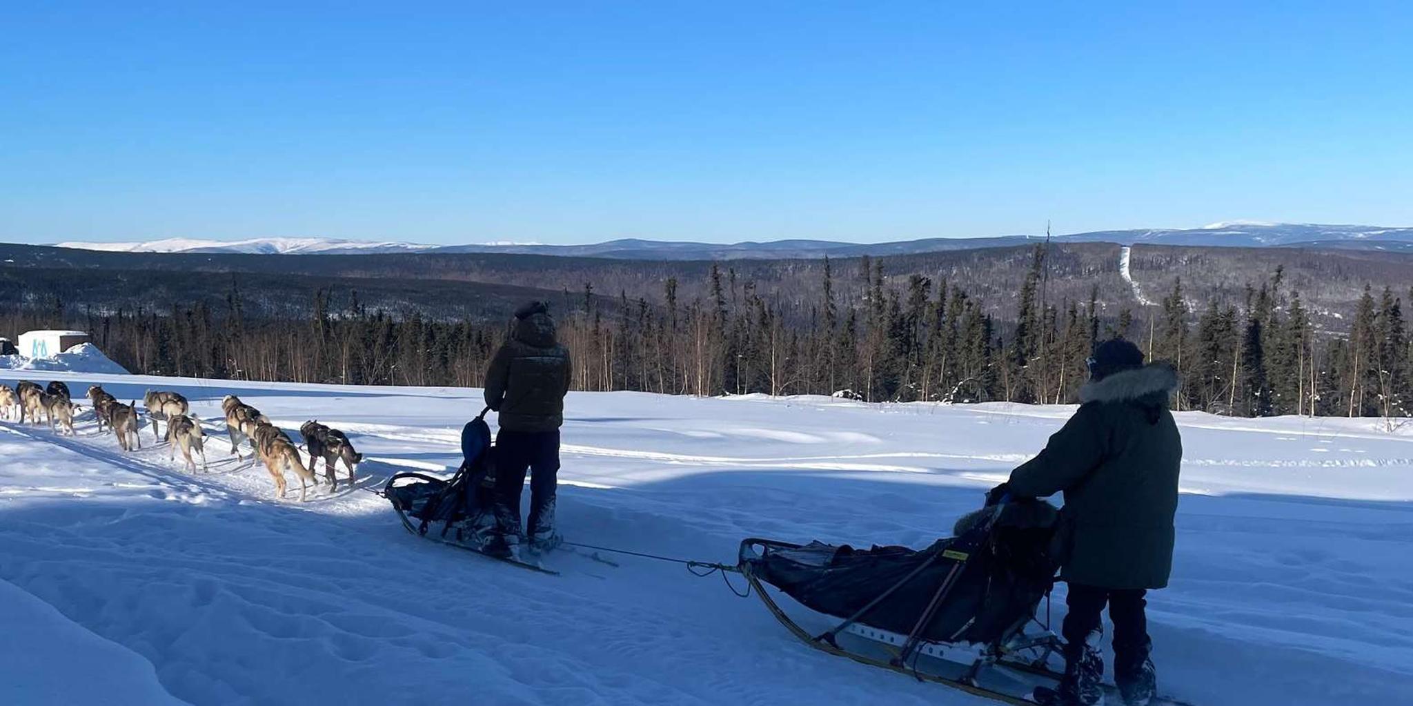 Fairbanks Dog Mushing School 2 hr - Image 4