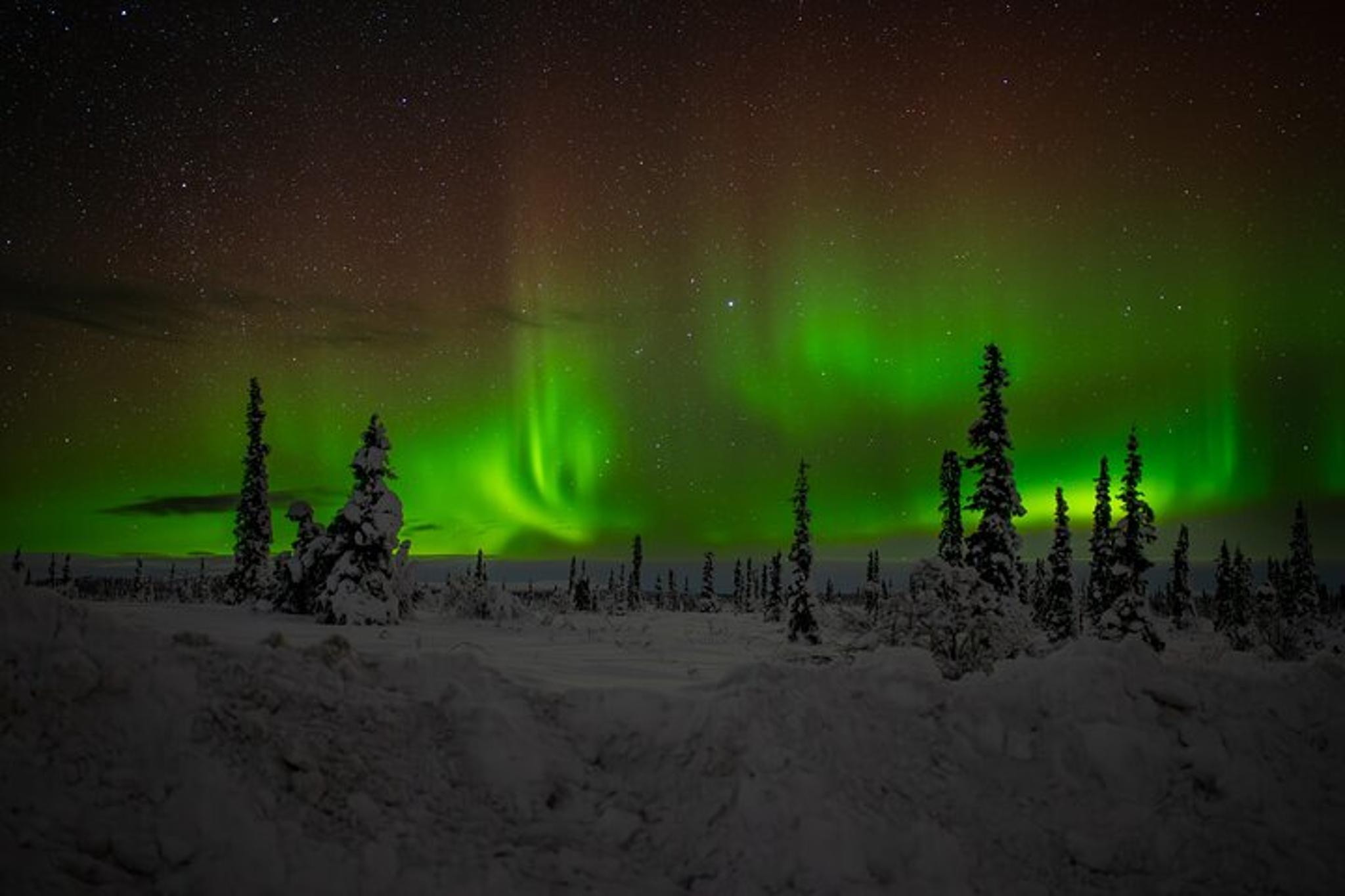 Anchorage Northern Lights Adventure - Image 3