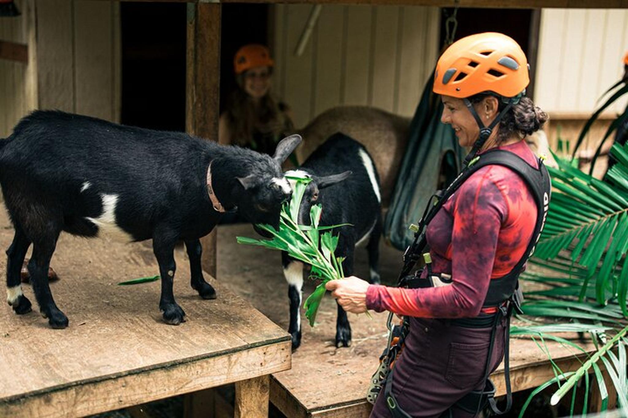 Maui Zipline Eco Adventure - Image 5