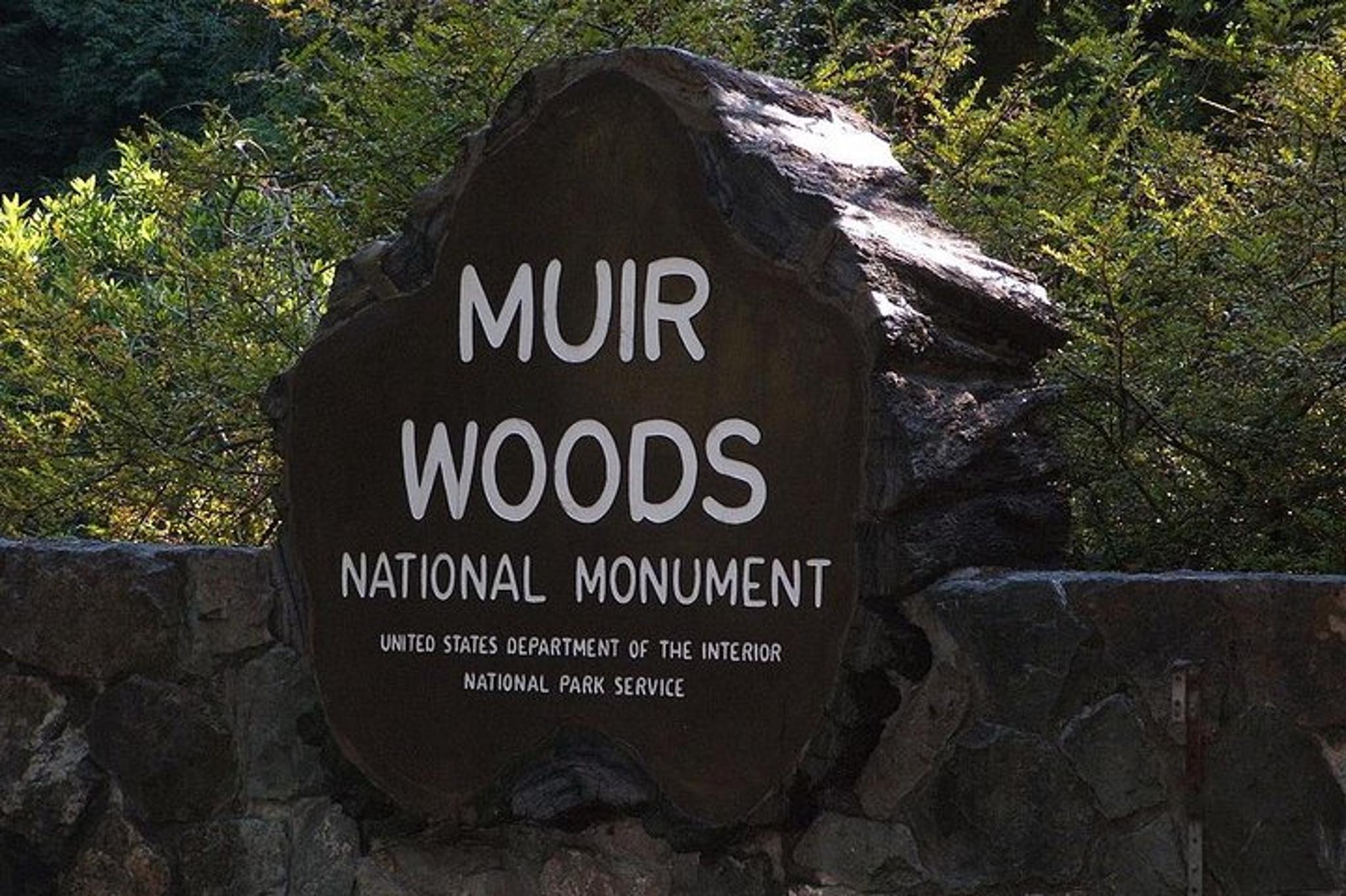 San Francisco Muir Woods, Sausalito, and Tiburon Day Trip - Image 6